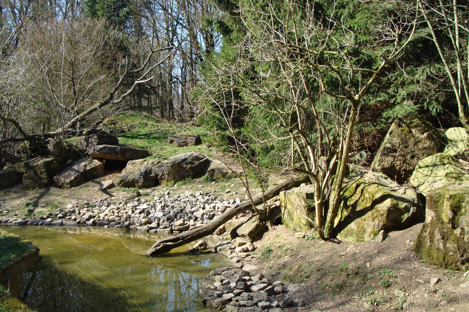Raccoon/Ferret exhibit