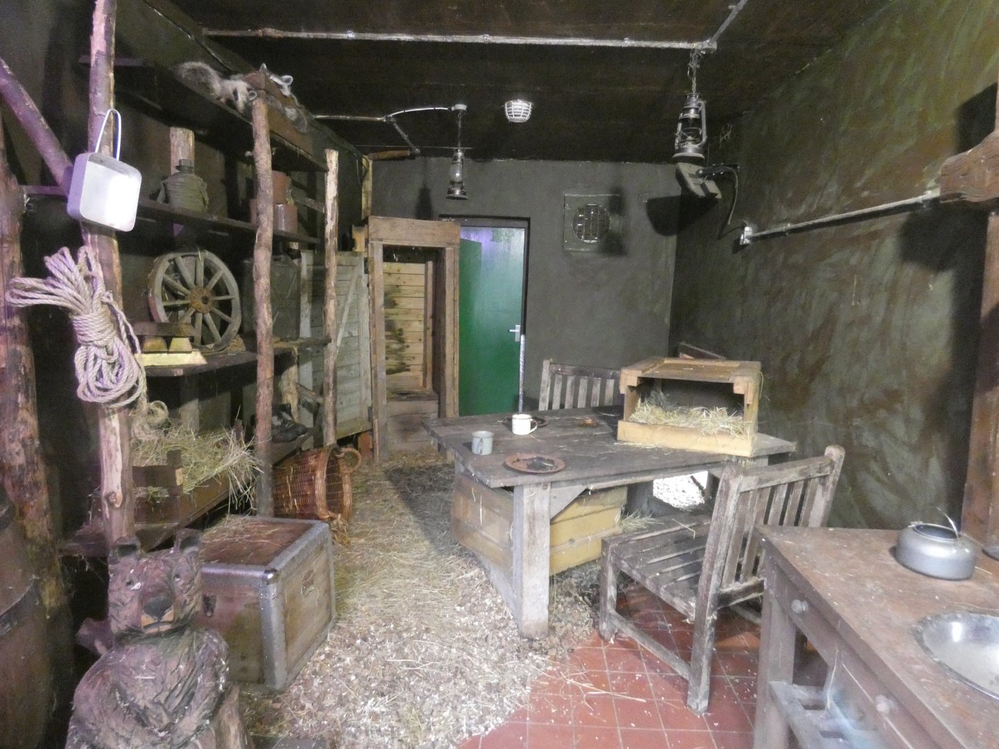 Raccoon indoor enclosure