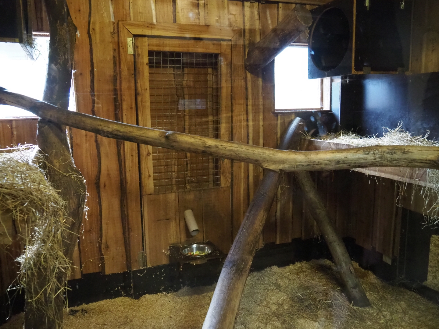 Raccoon indoor housing