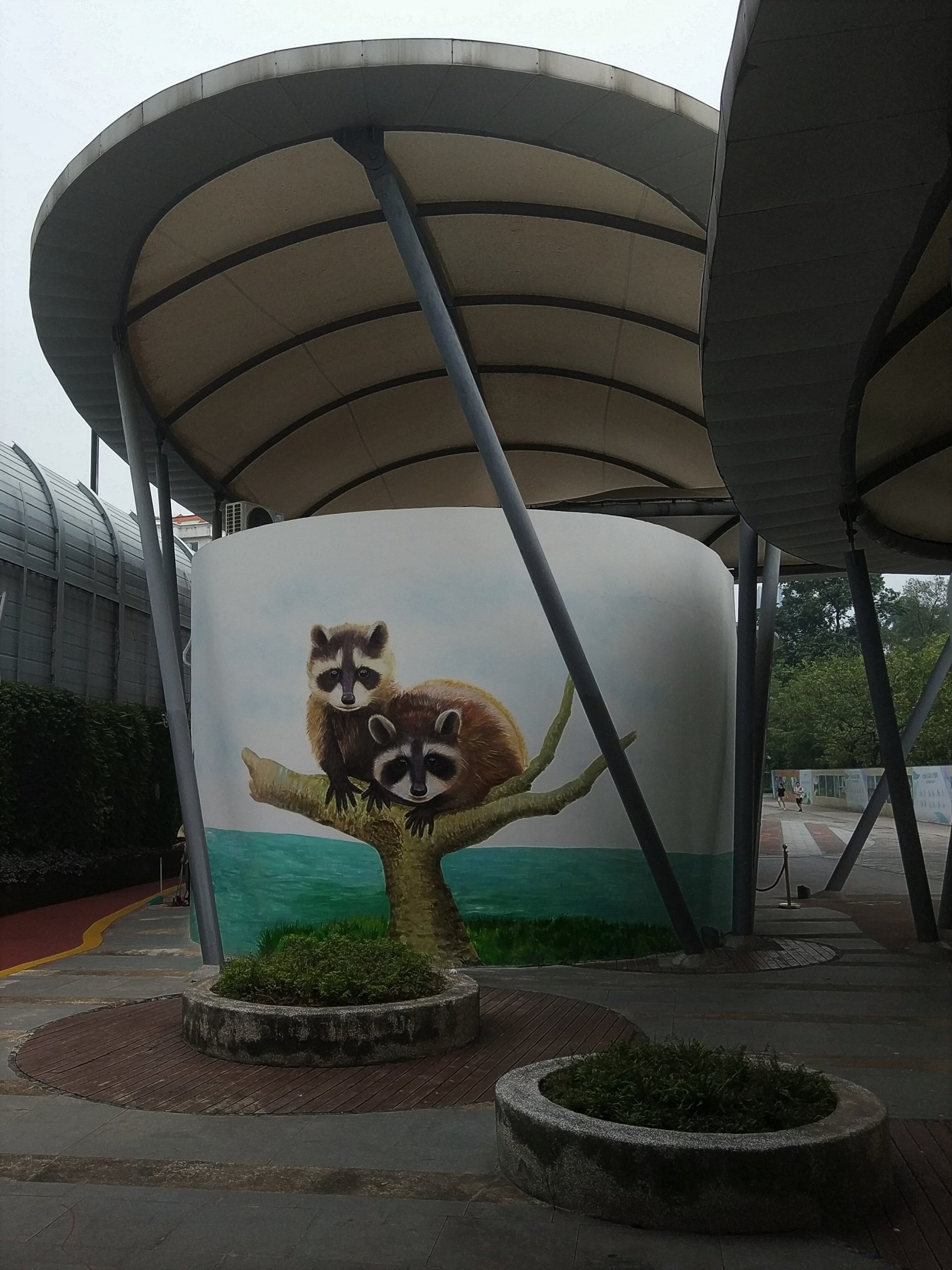 Raccoon Mural