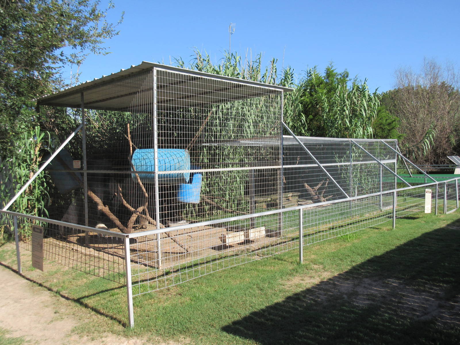 Raccoon + North American Porcupine Exhibits