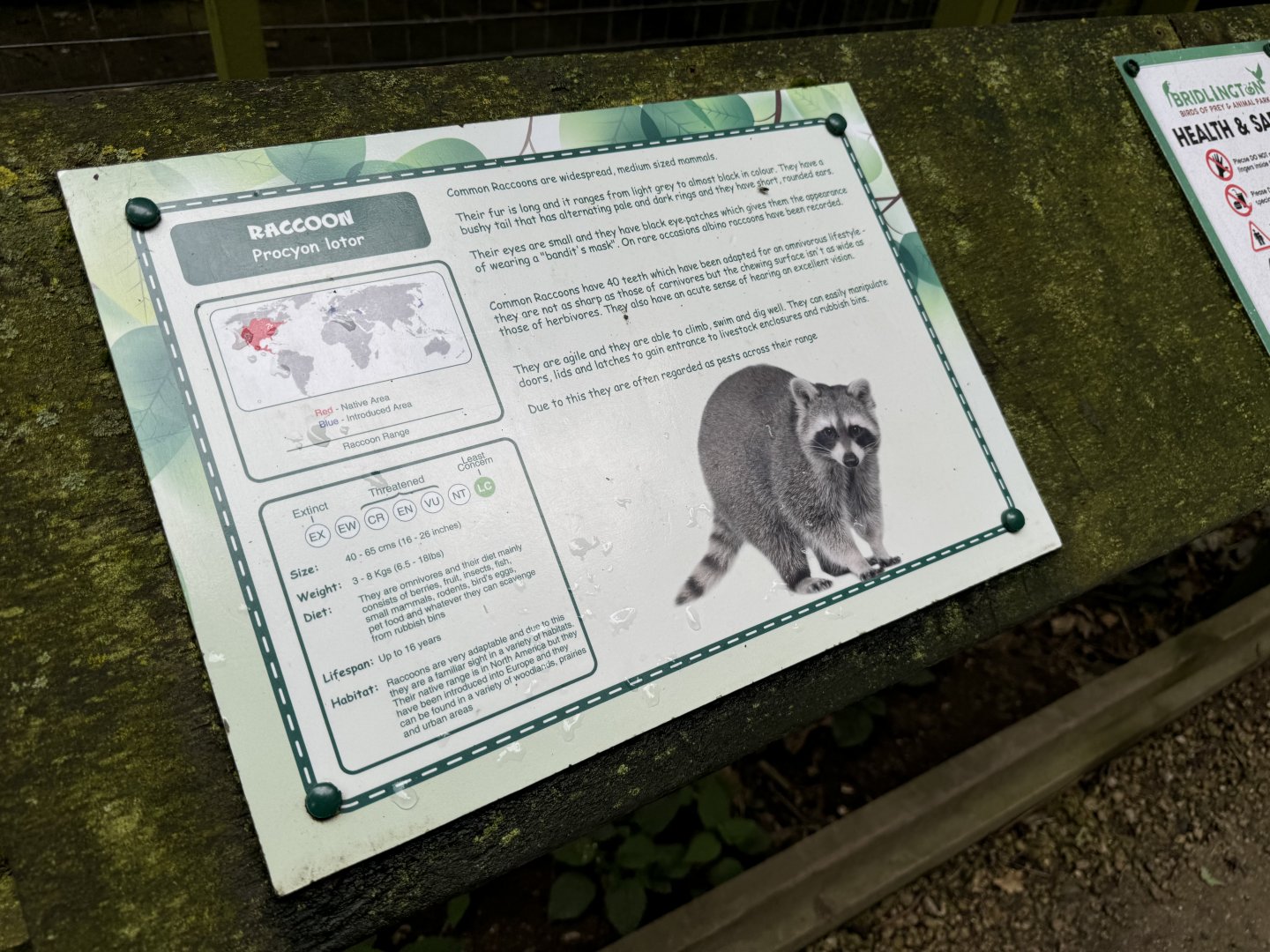 Raccoon Sign at Bridlington Animal Park (July 2024)