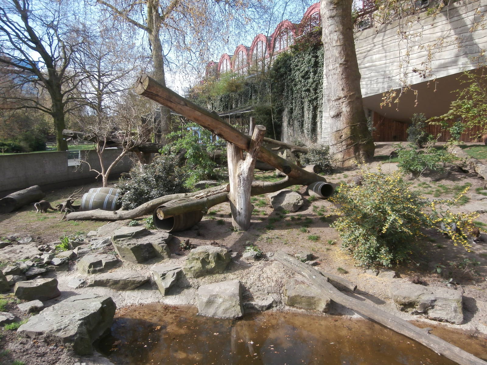 Raccoon/skunk enclosure