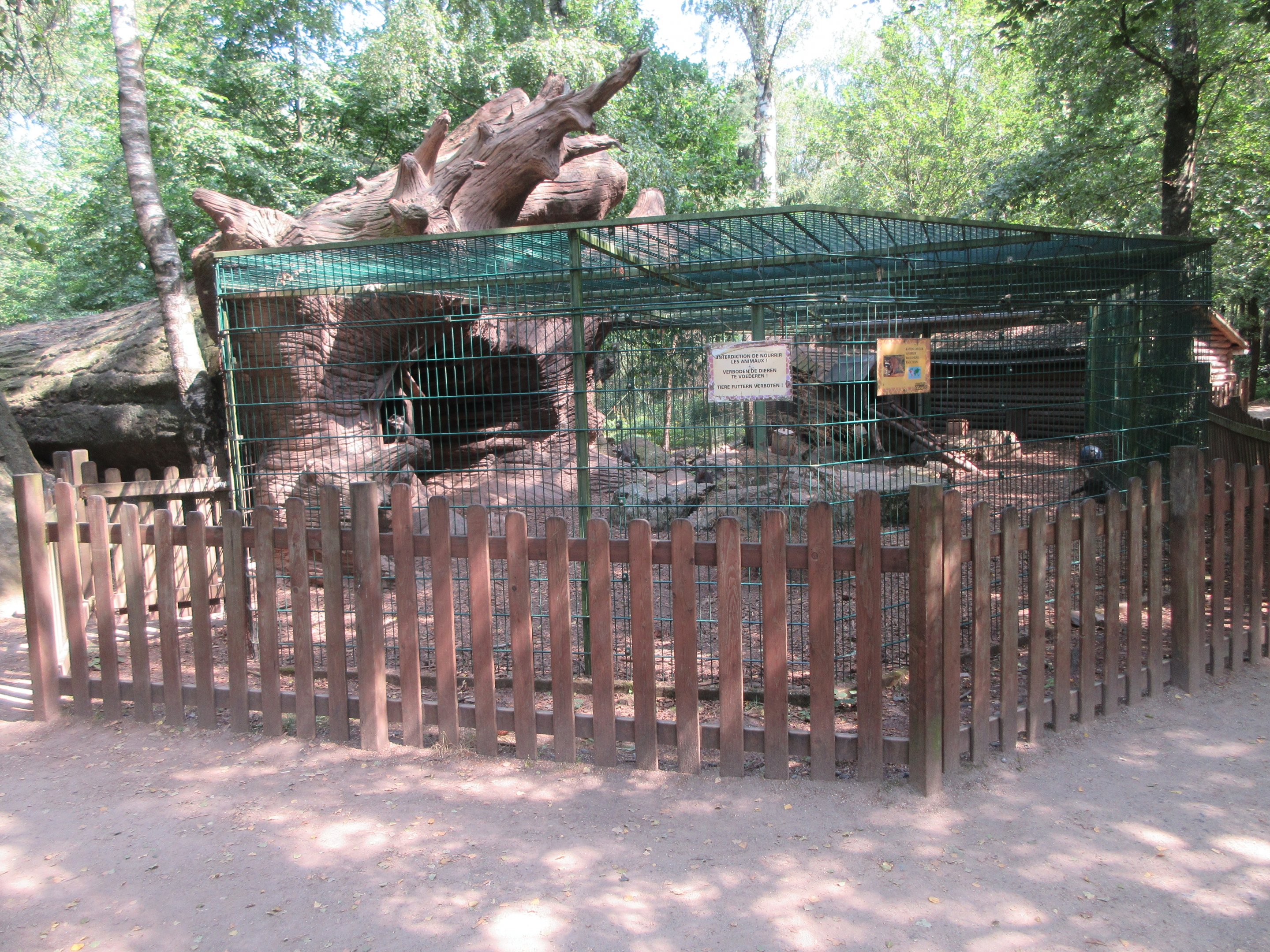 Raccoon/Striped Skunk Exhibit