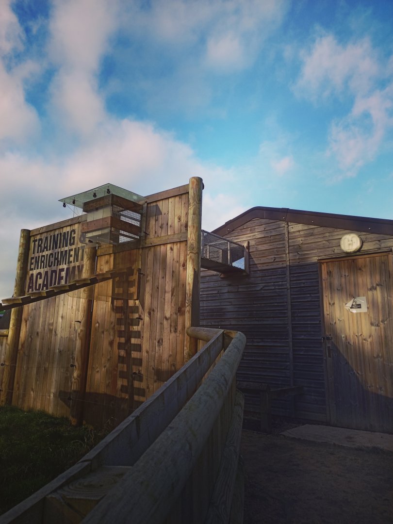 Raccoon Tunnel 17/12/23