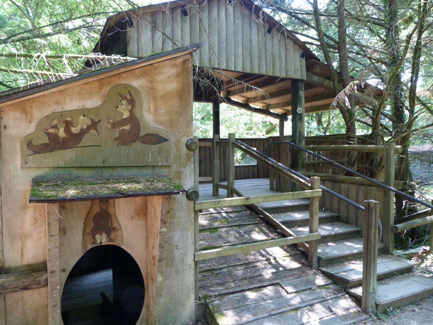 Raccoon viewing area -Zoodyssée (2025)