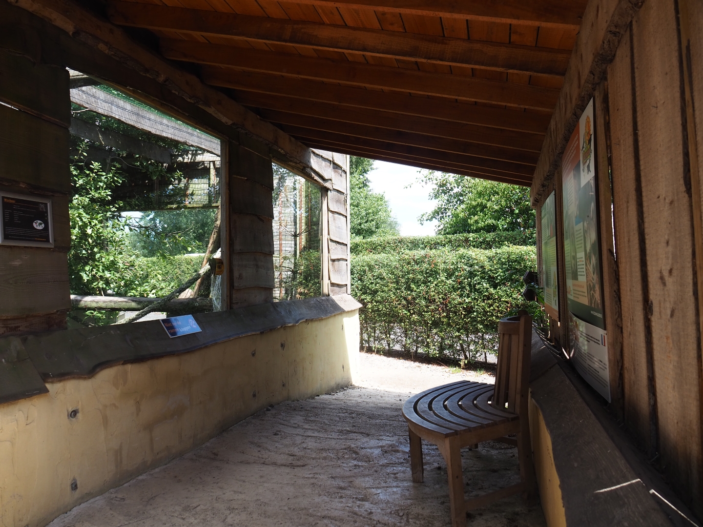 Raccoon viewing area