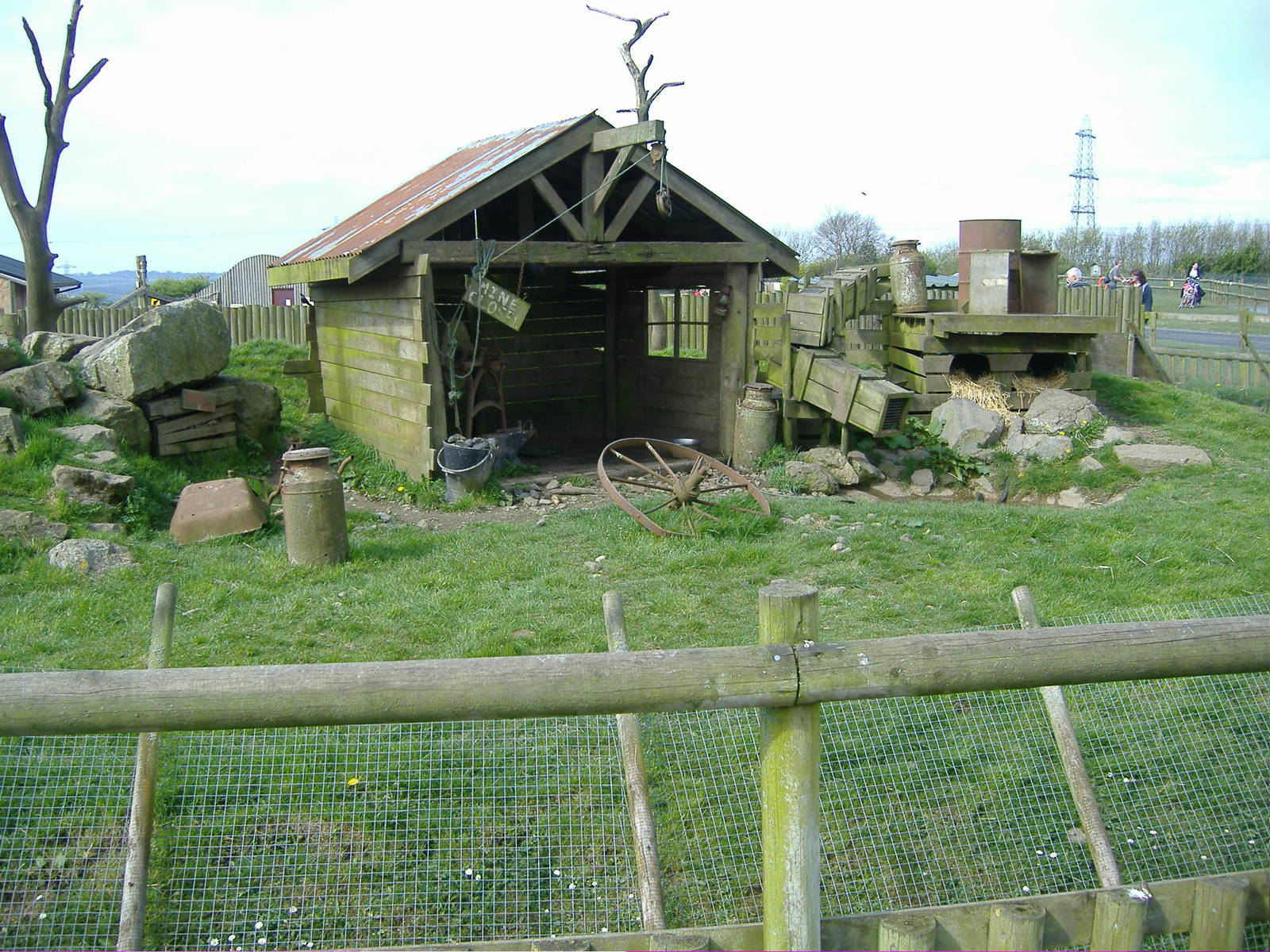 Raccoons Folly Farm