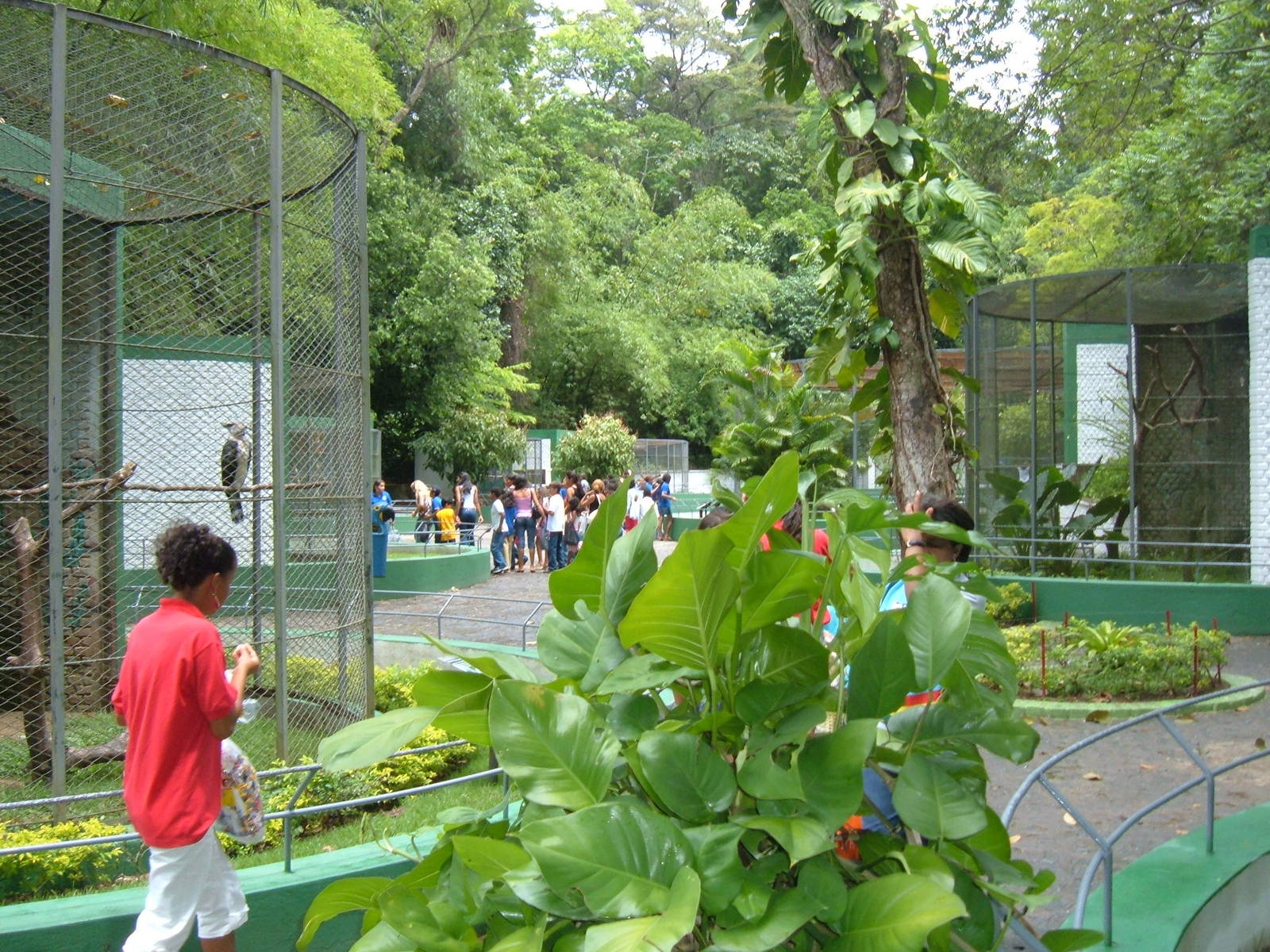 Racifi Zoo - 2006