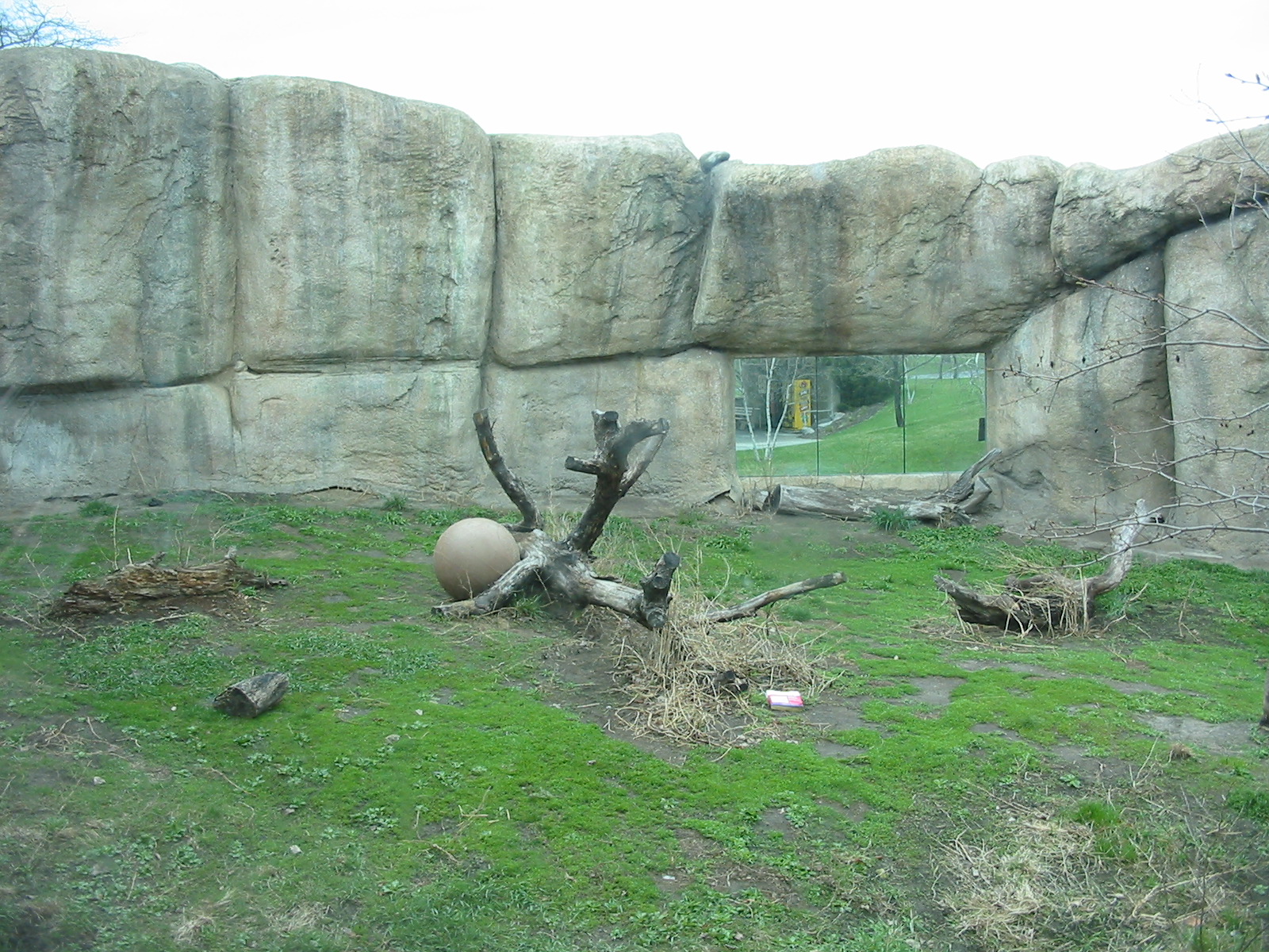 Racine Zoo 2003 - Siberian Tiger exhibit