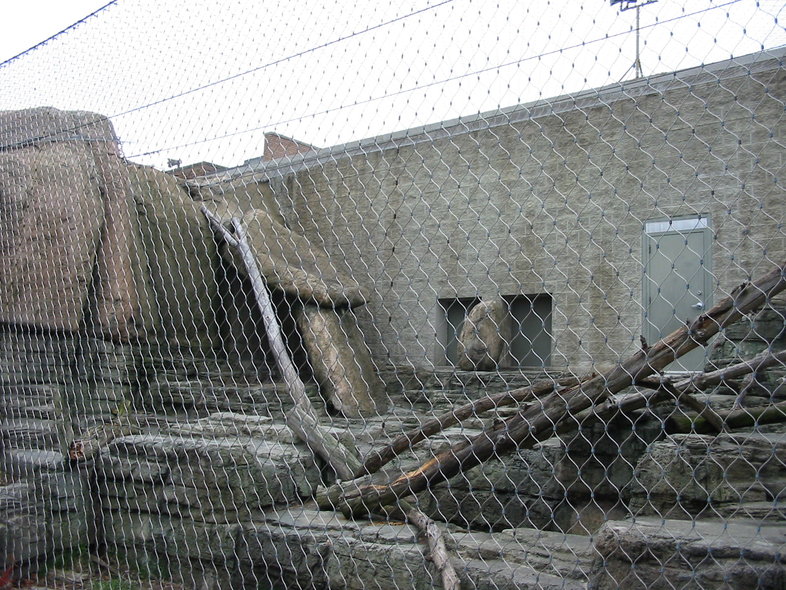 Racine Zoo 2003 - Snow Leopard exhibit