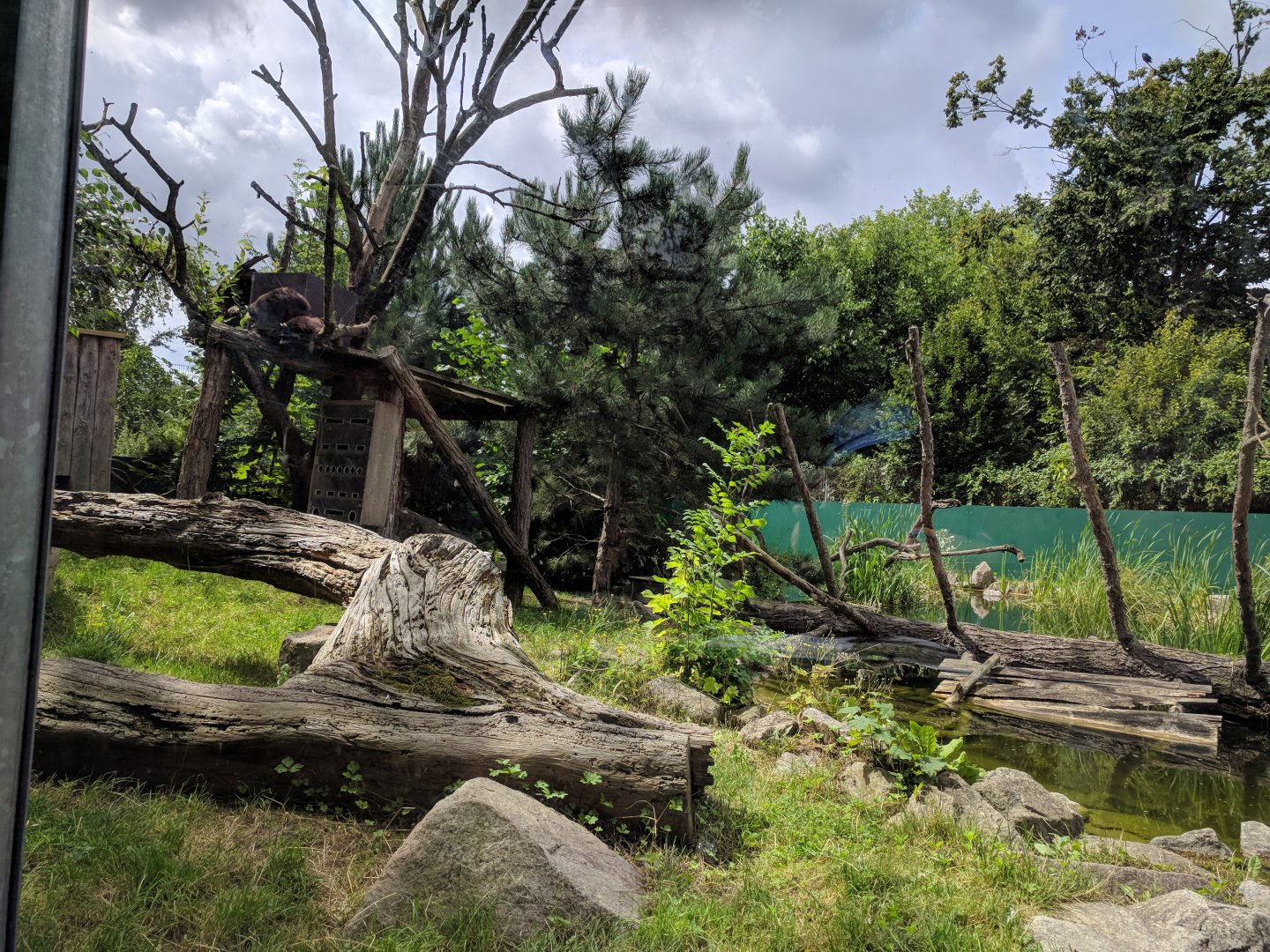 Racoon and European Mink Enclosure