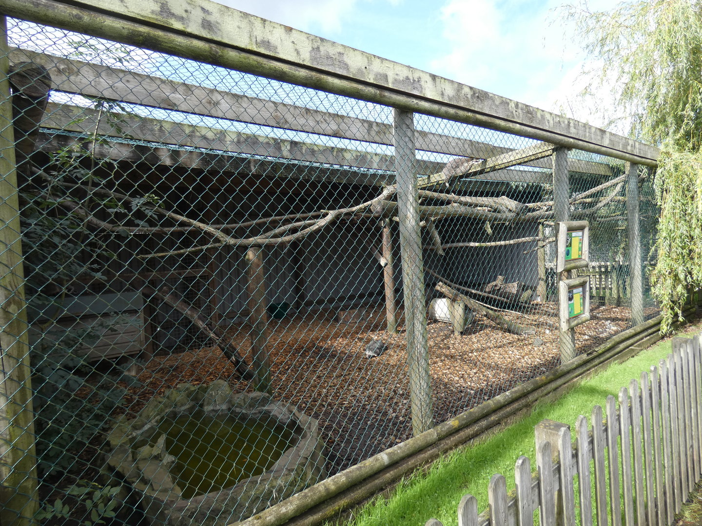 Racoon and Racoon dog enclosure