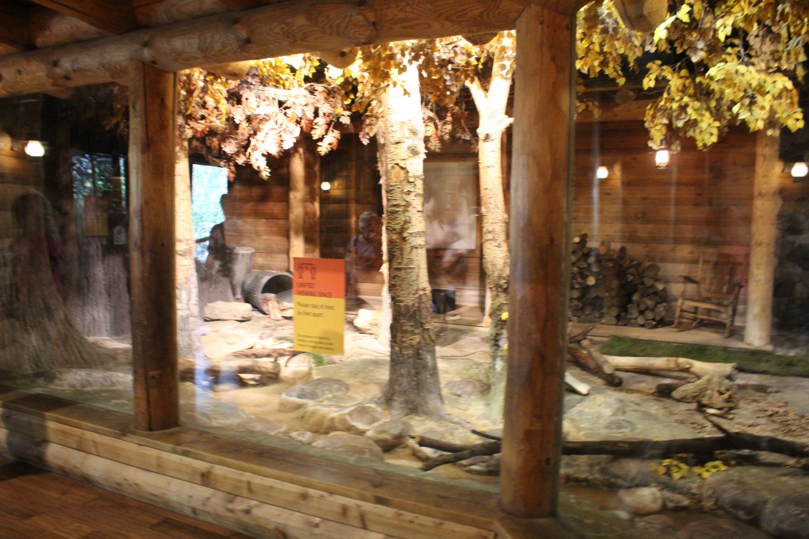 Racoon/Animal Ambassador Exhibit - Minnesota Trail