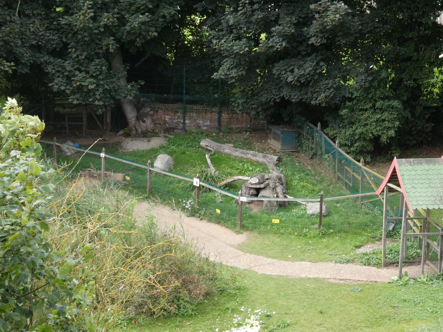 Racoon dog enclosure