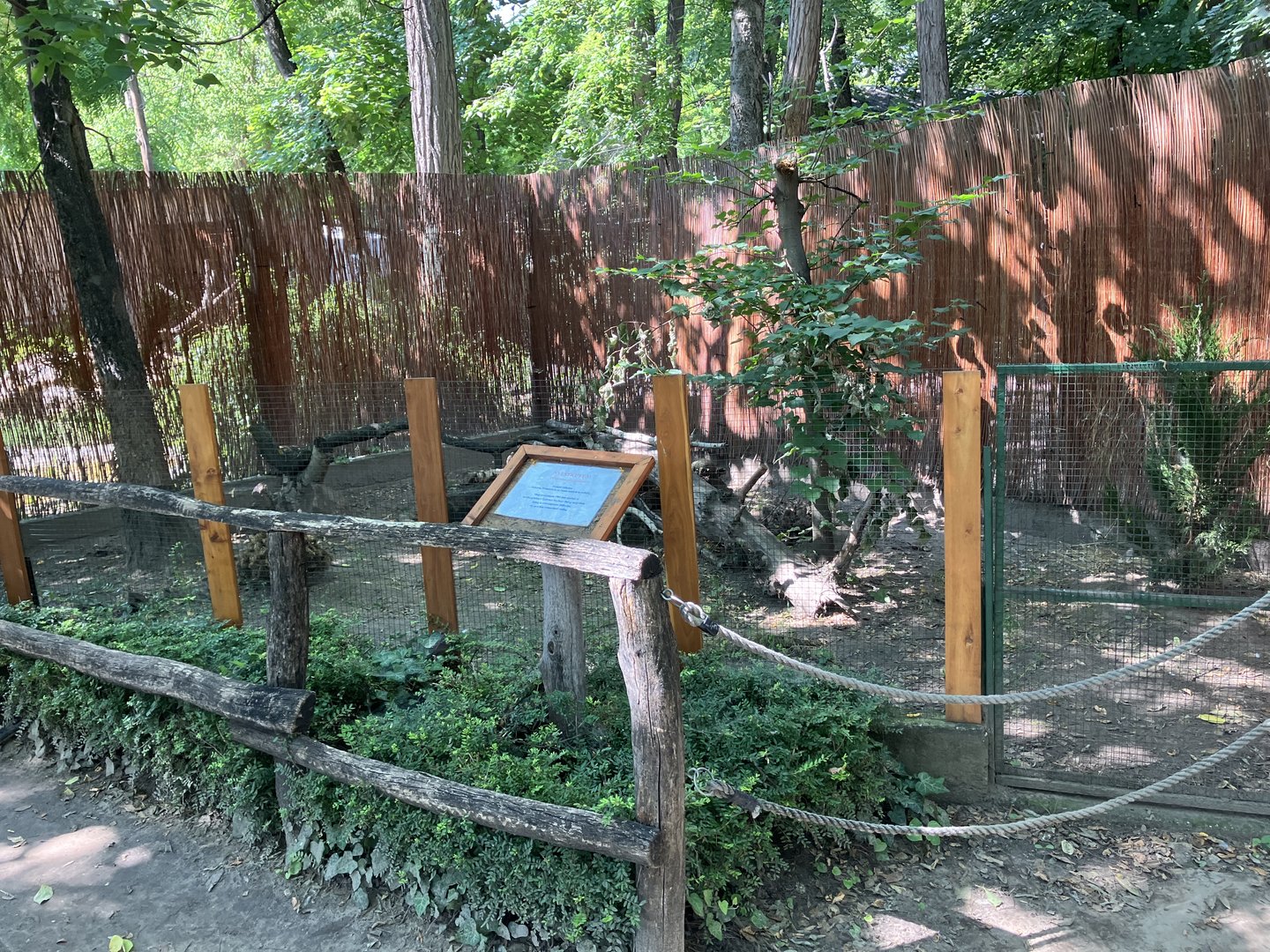 Racoon dog exhibit