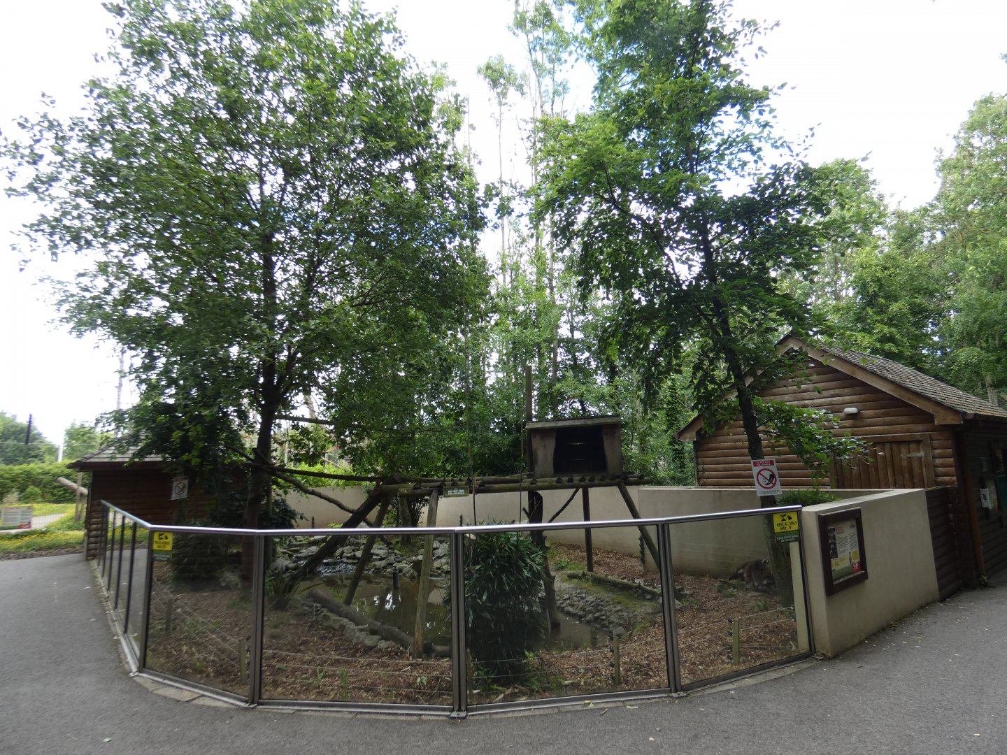 Racoon enclosure viewing area