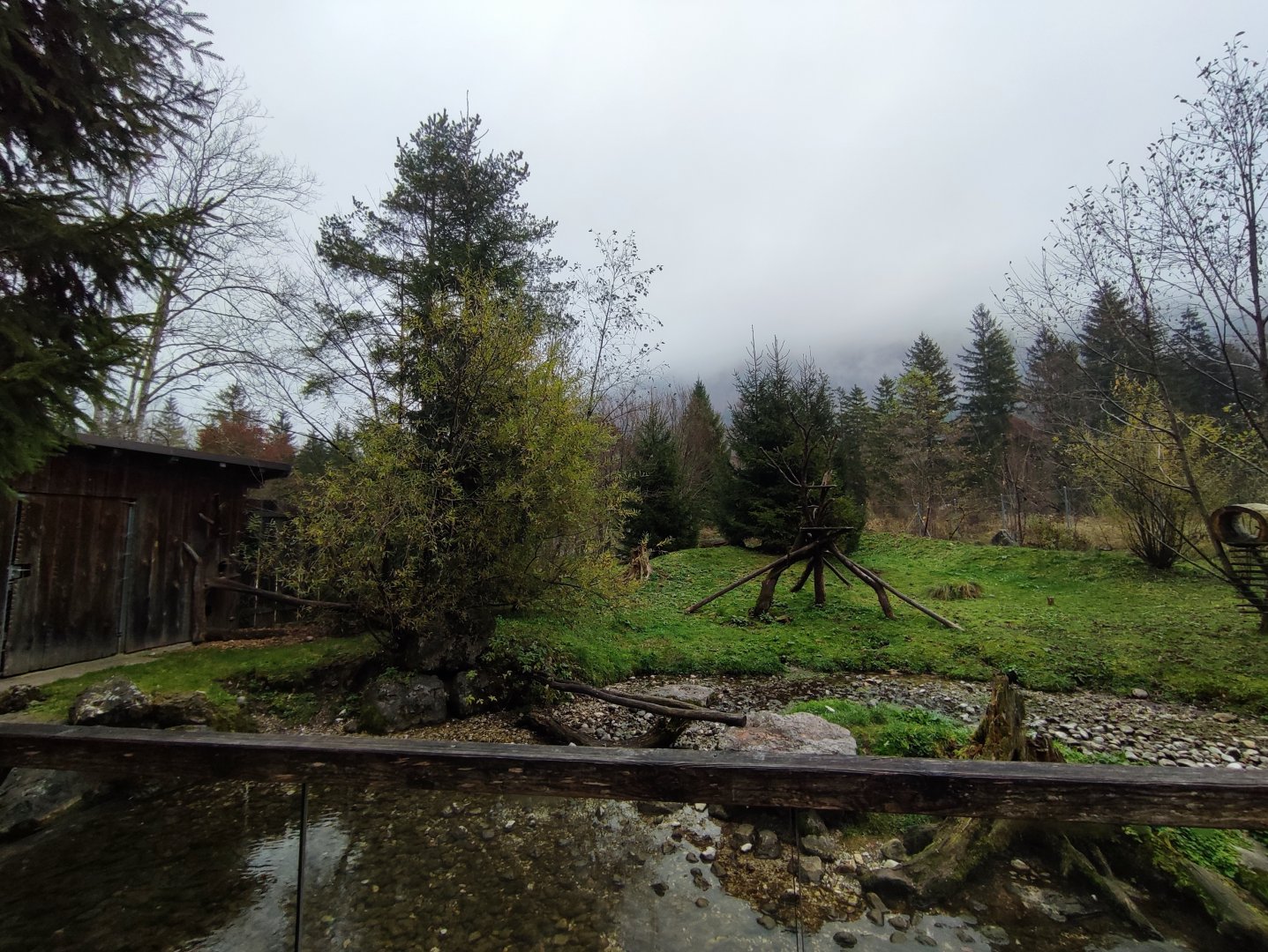 Racoon enclosure - Wildpark Grünau/Cumberland
