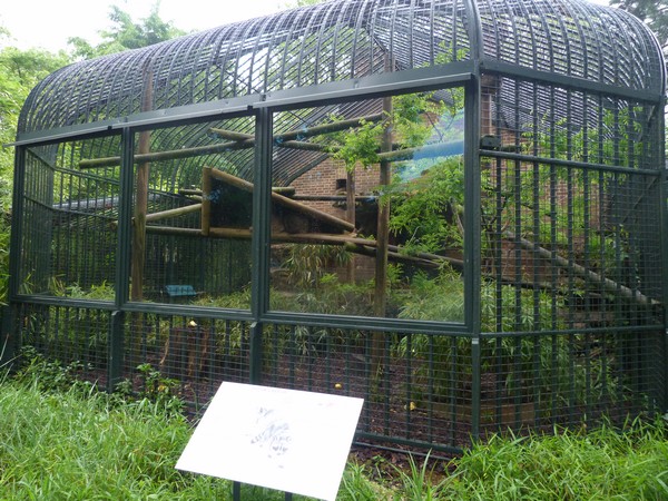 Racoon enclosure