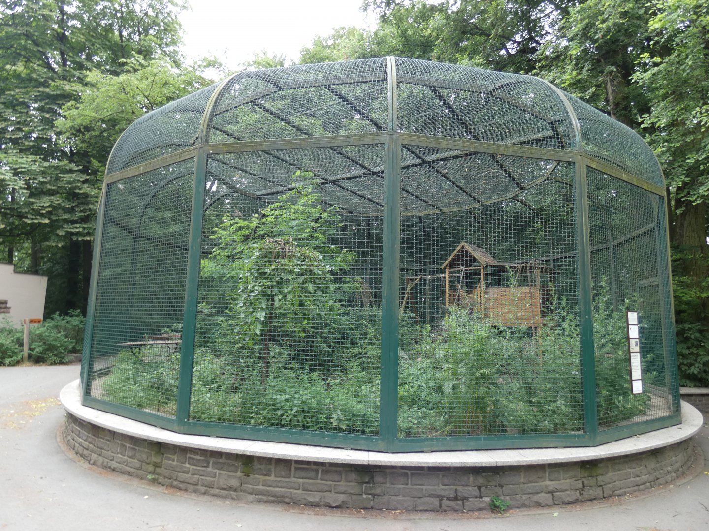 Racoon Enclosure