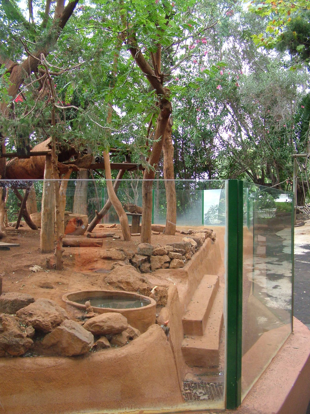 Racoon Exhibit at Jungle Park (Las Aguilas), 13/11/10