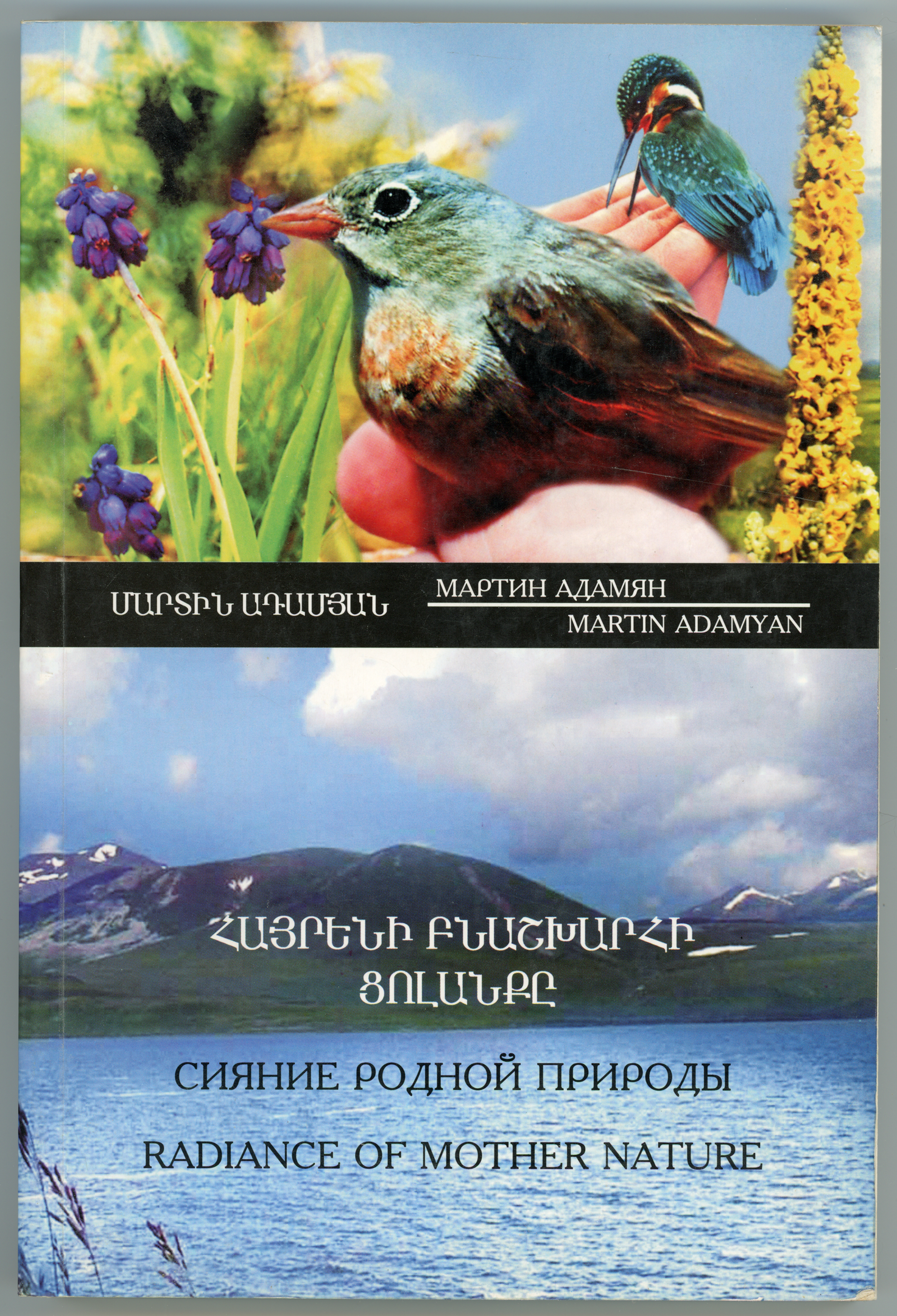 Radiance of Mother Nature