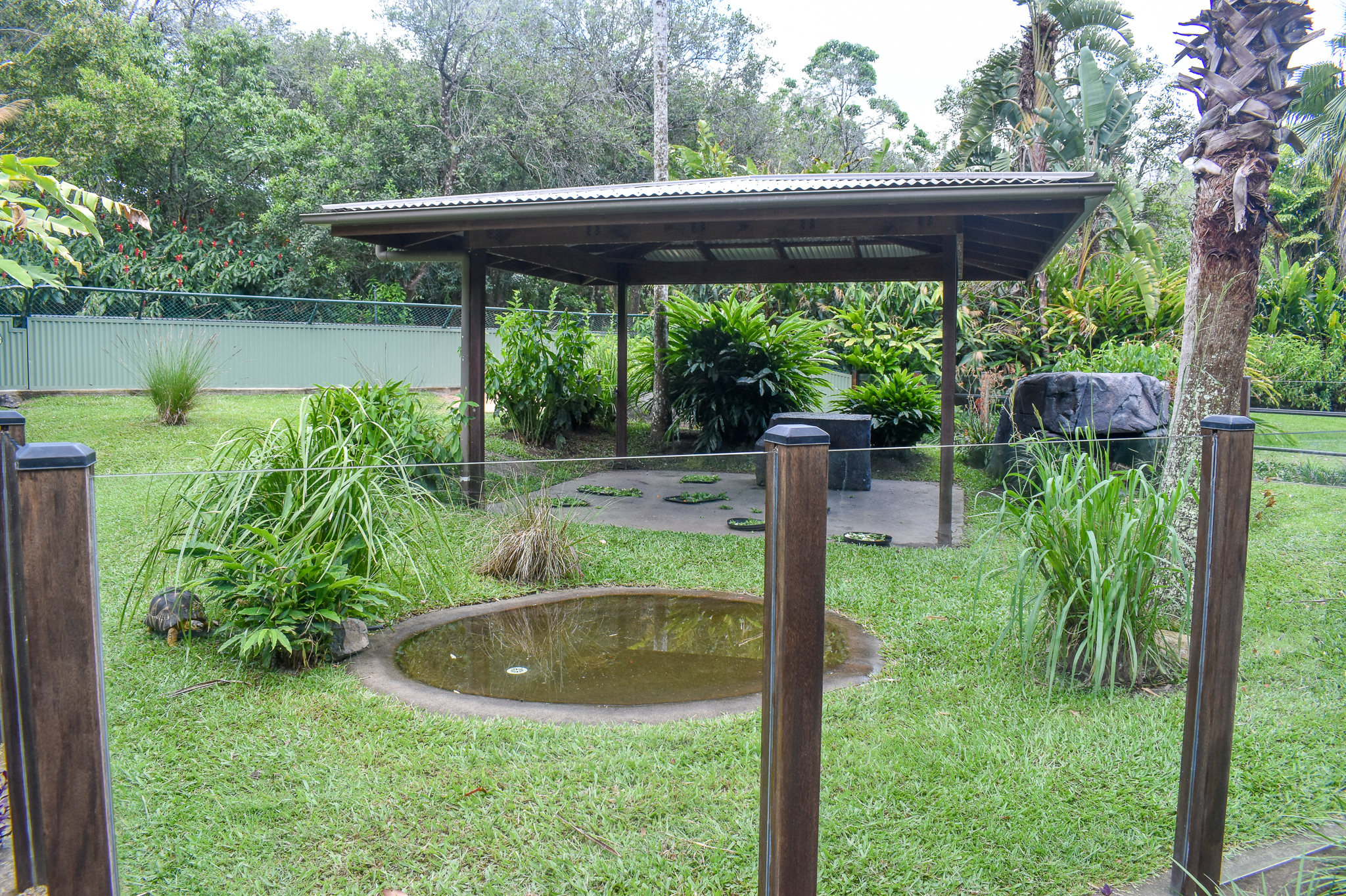 Radiated/Elongated Tortoise Enclosure