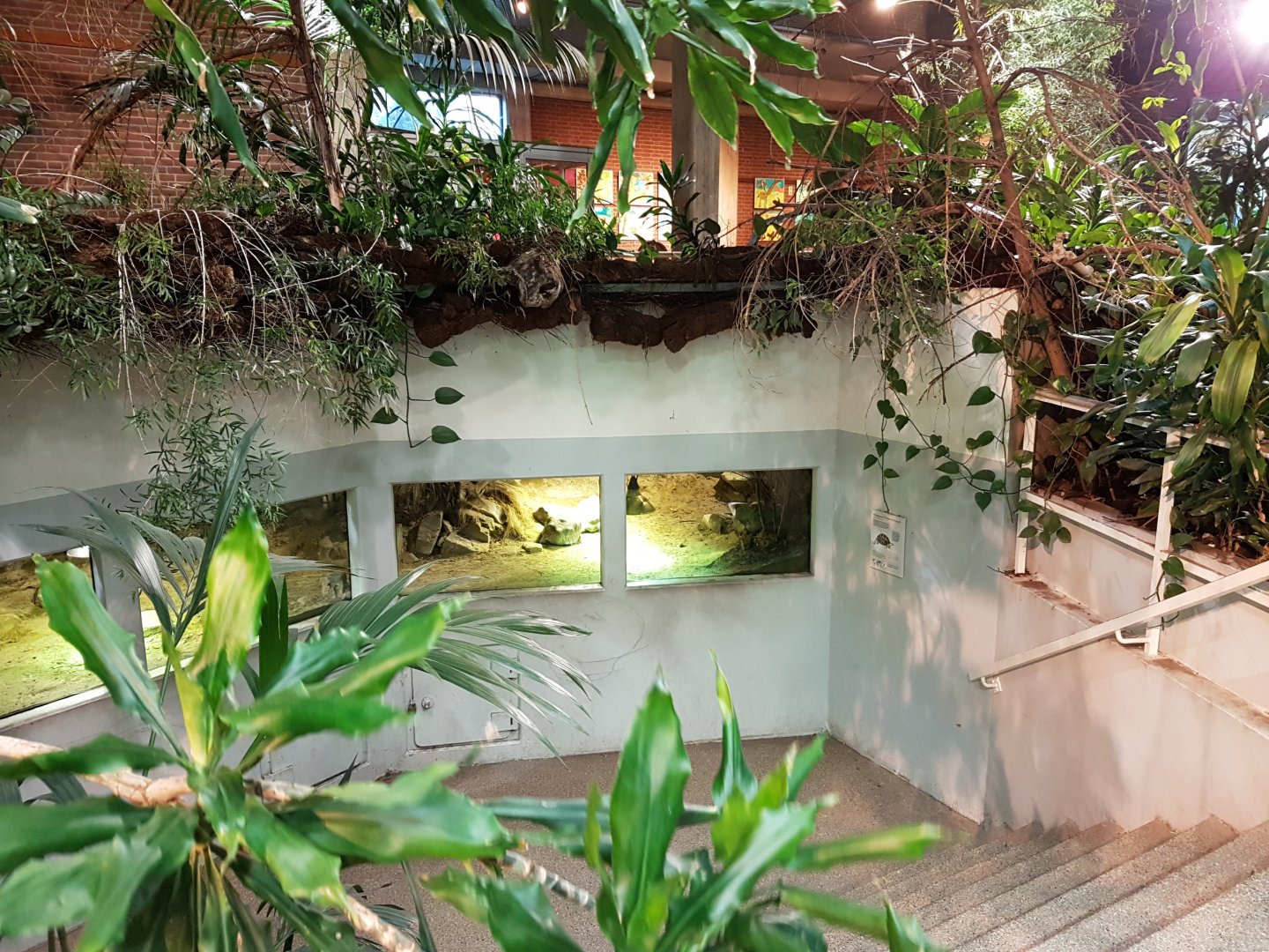 Radiated tortoise-enclosure - formaly Manatee-enclosure