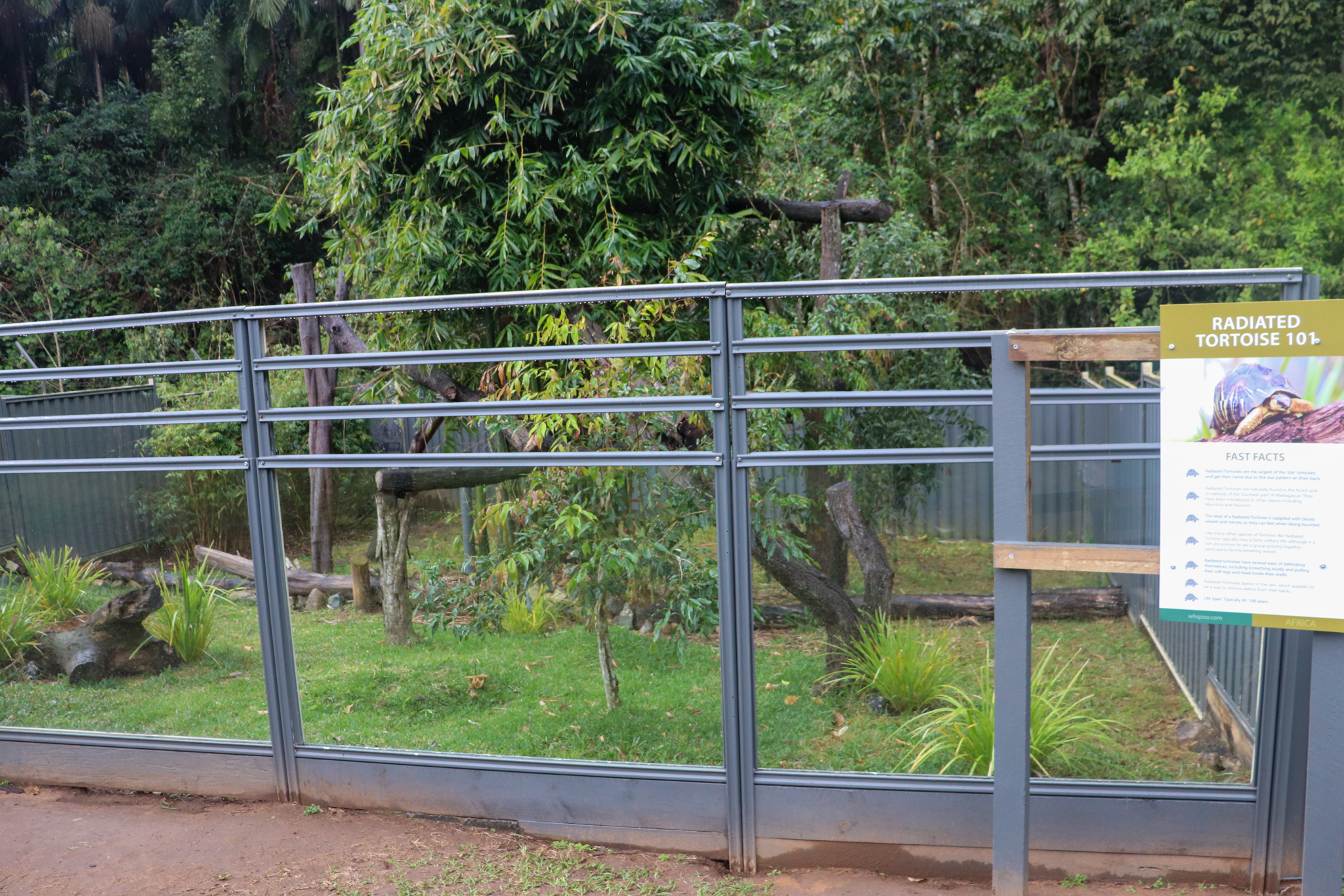 Radiated Tortoise Enclosure
