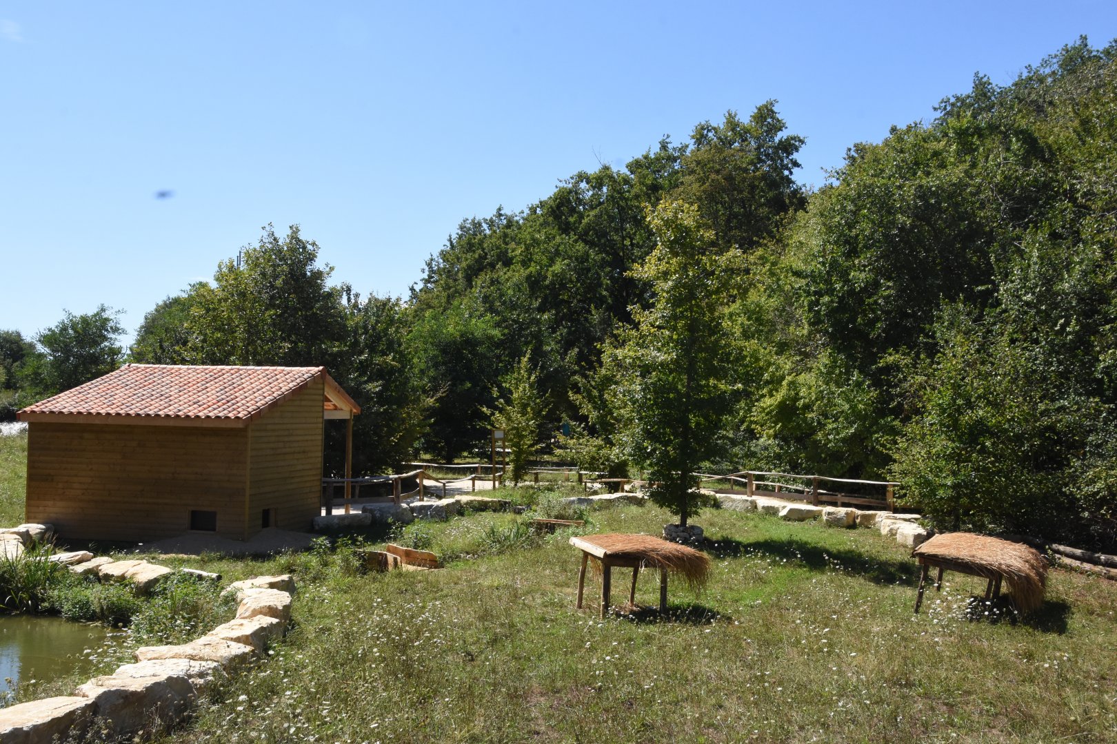 Radiated tortoise enclosure