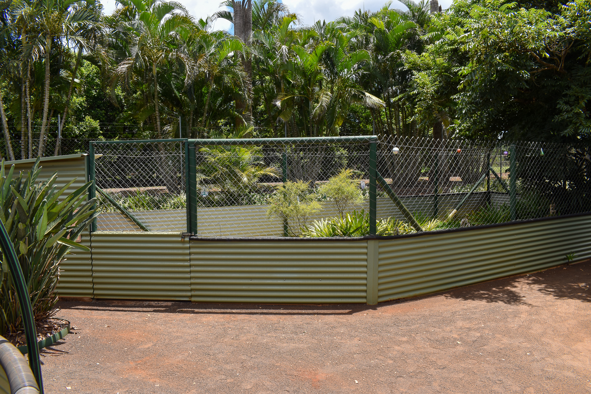 Radiated Tortoise Enclosure