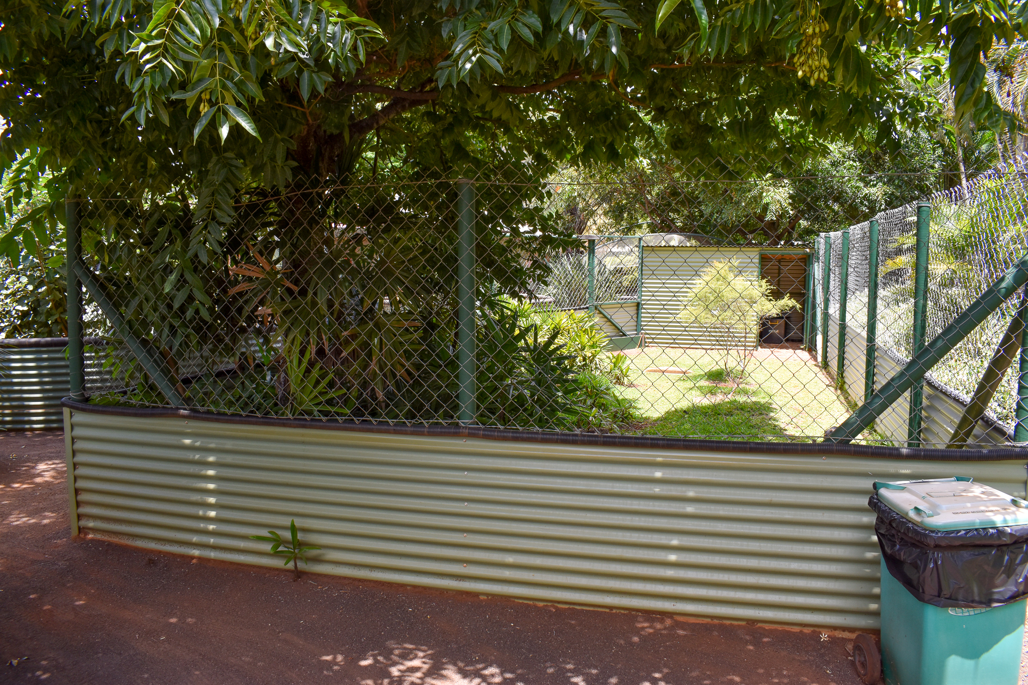 Radiated Tortoise Enclosure