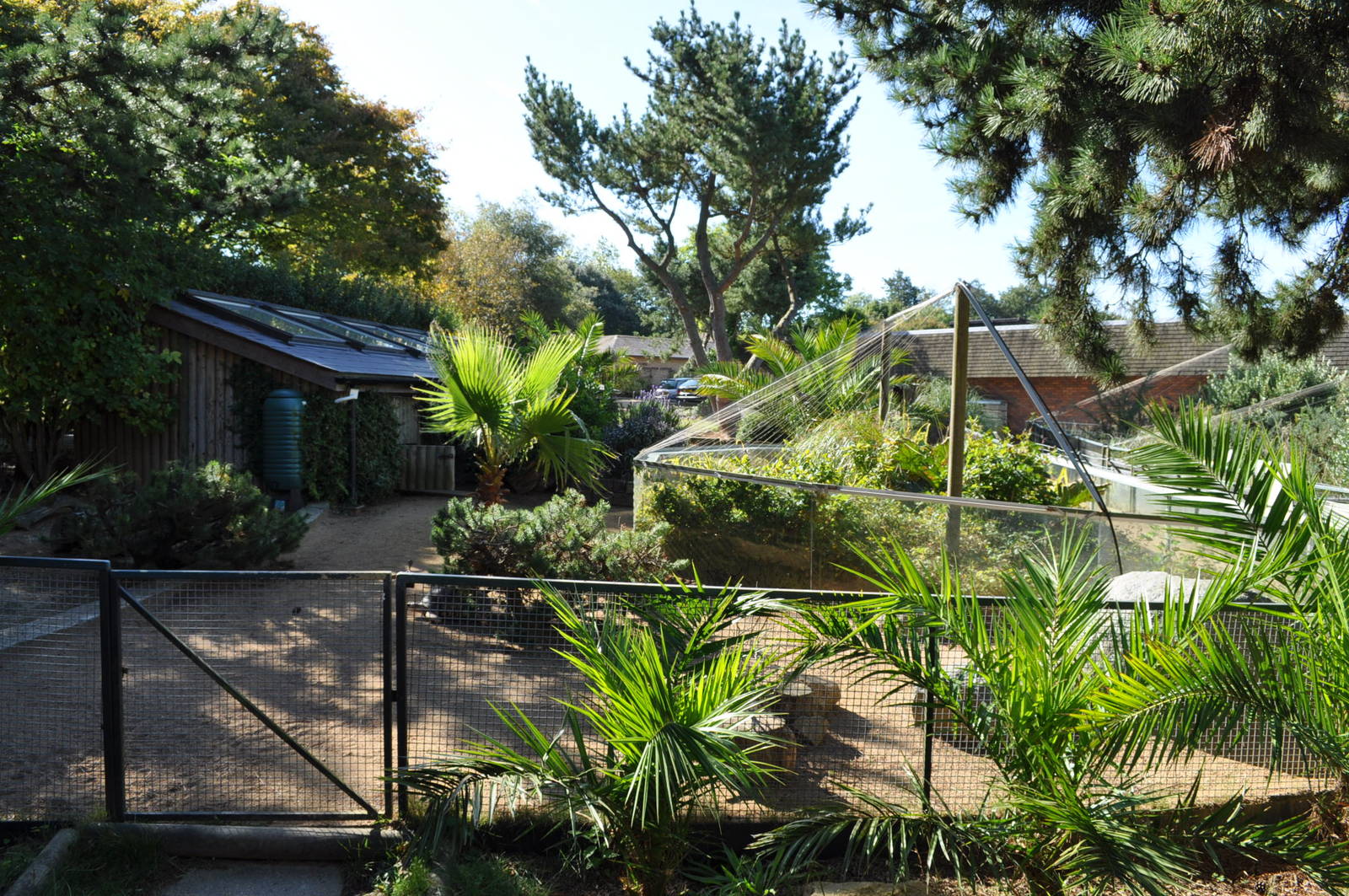 Radiated Tortoise Enclosure