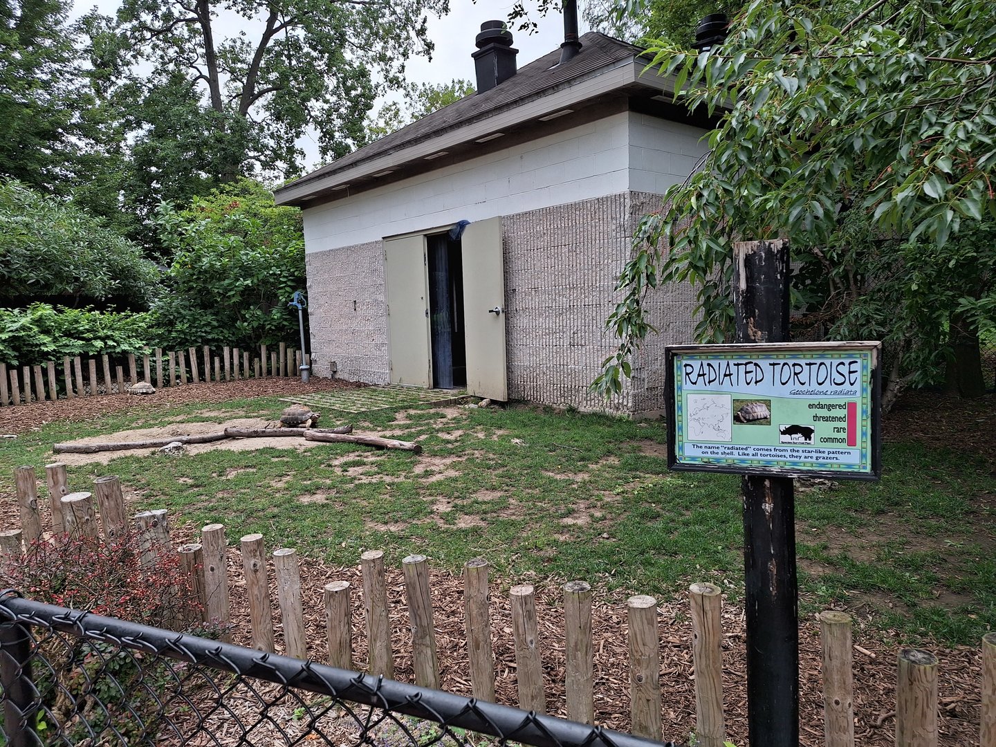 Radiated Tortoise enclosure