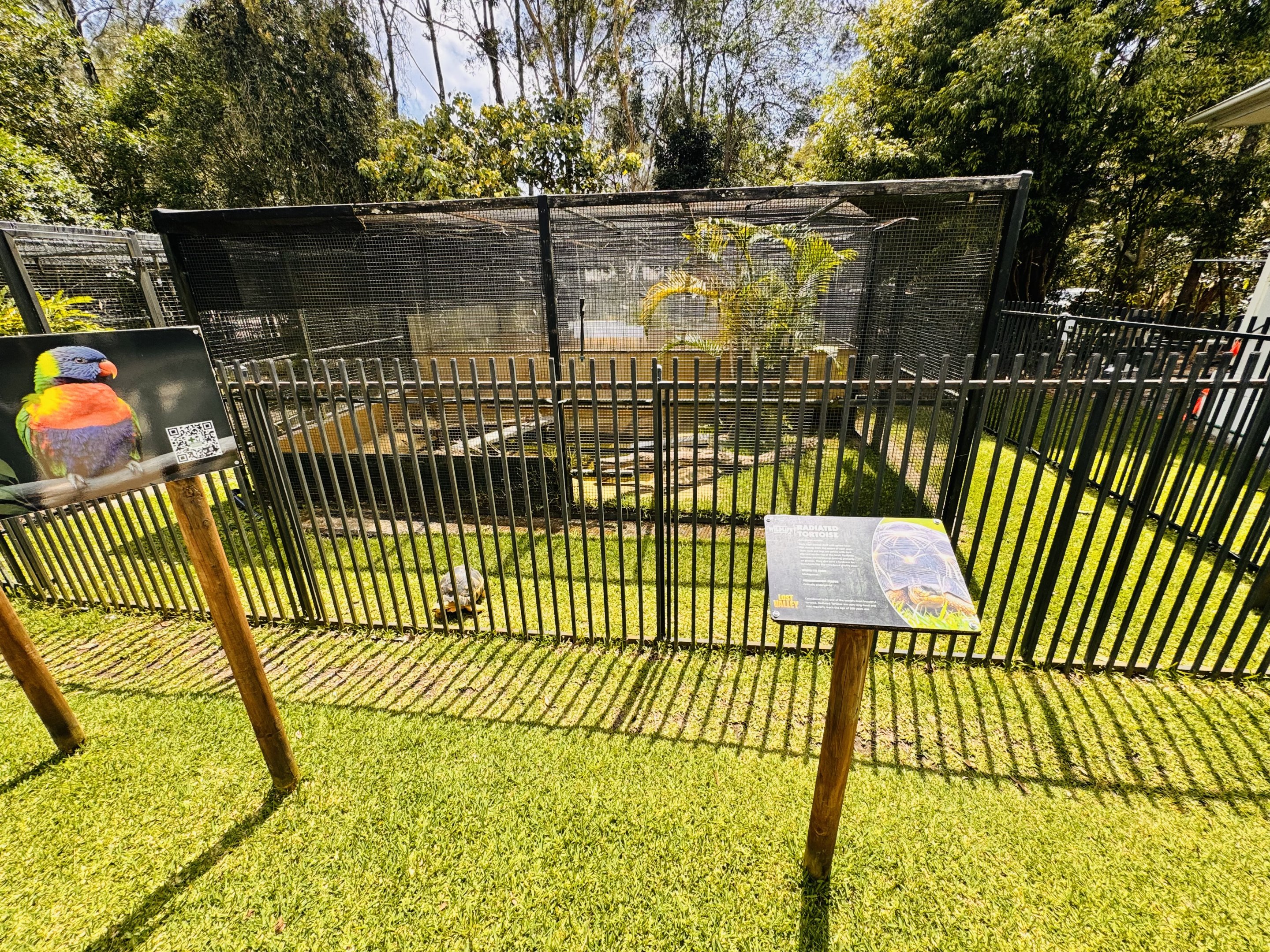 Radiated Tortoise enclosure