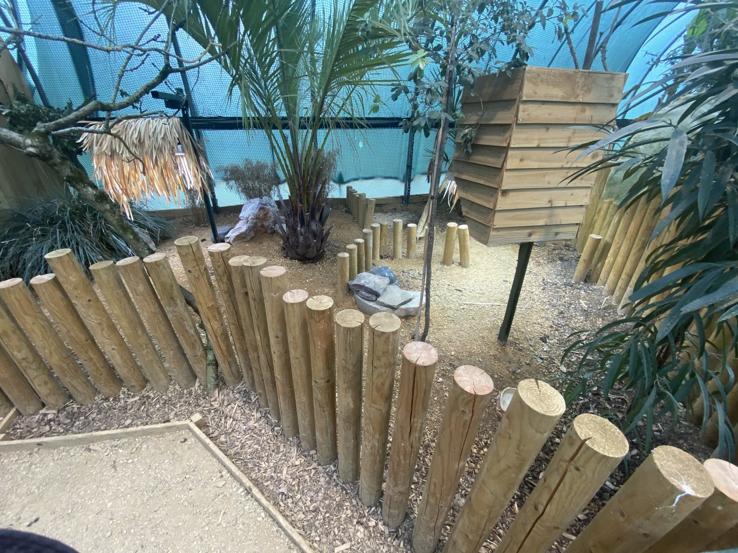 Radiated tortoise enclosure