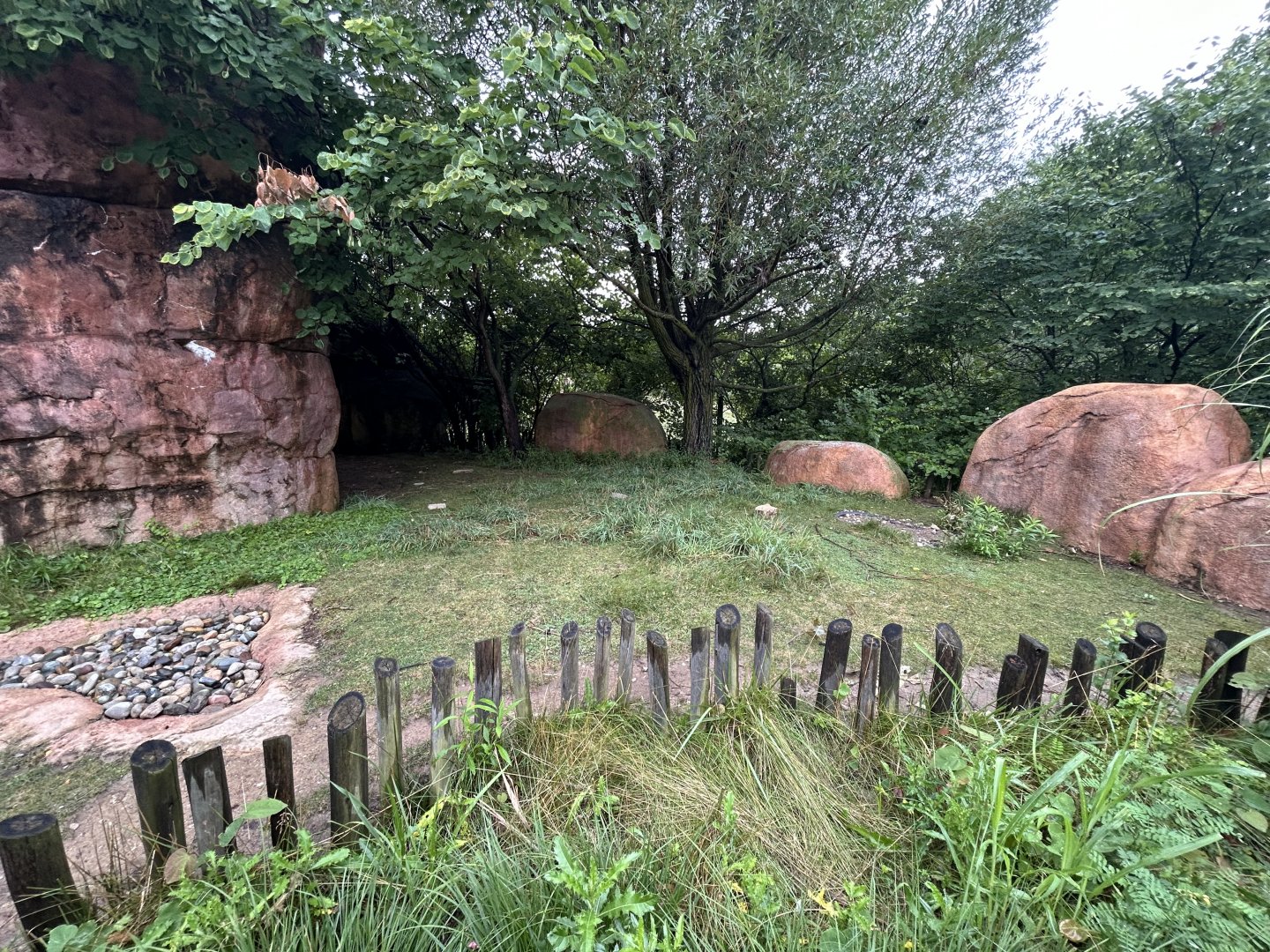 Radiated Tortoise Exhibit - African Journey