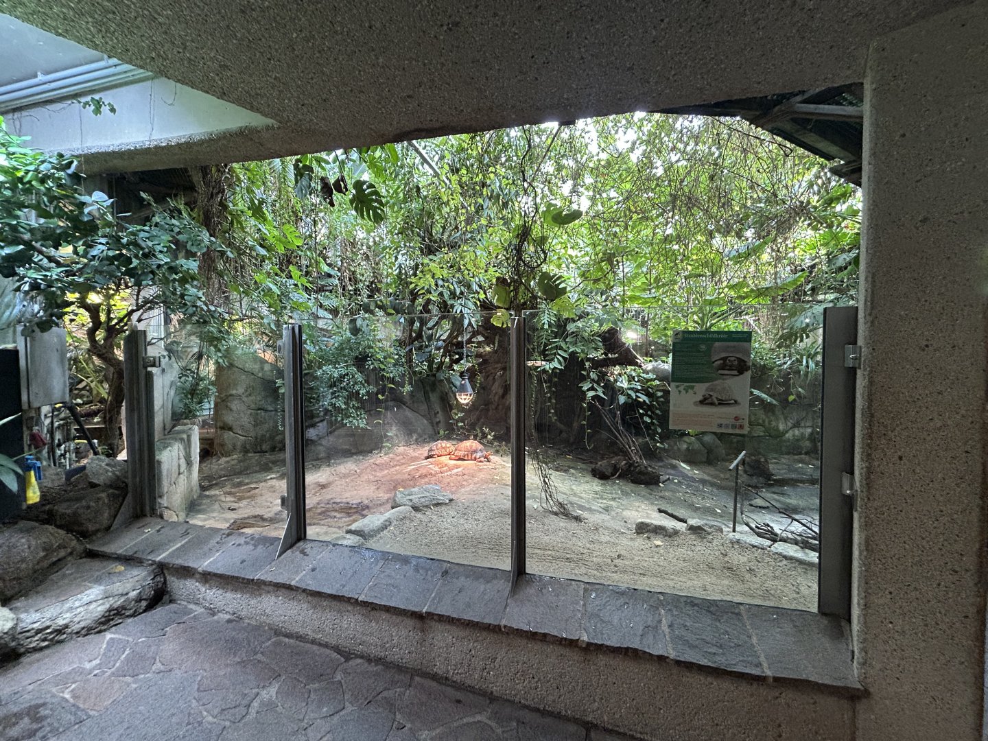 Radiated Tortoise Exhibit - Aquarium-Terrarium
