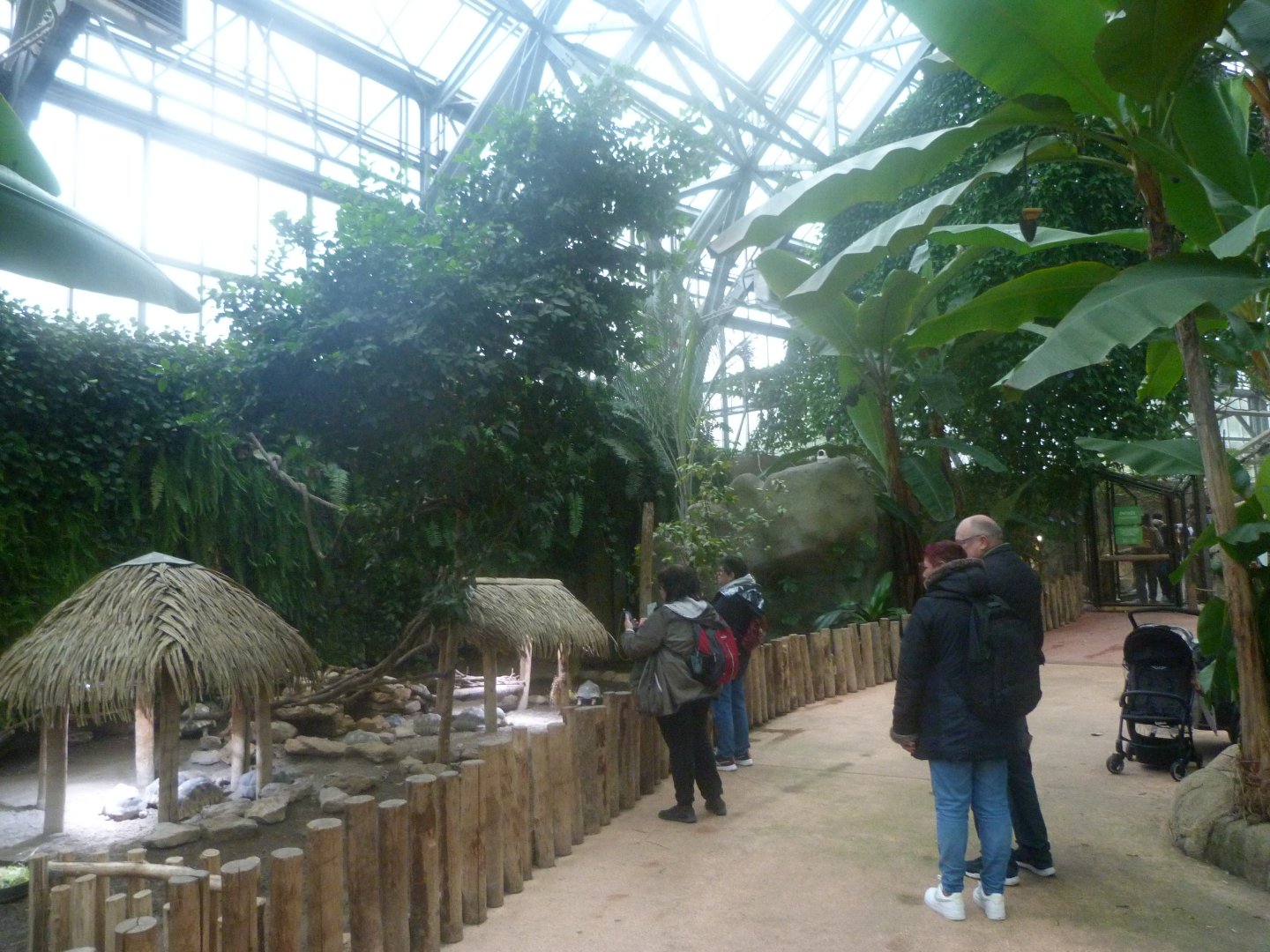 Radiated tortoise exhibit -ZooParc de Beauval (2025)