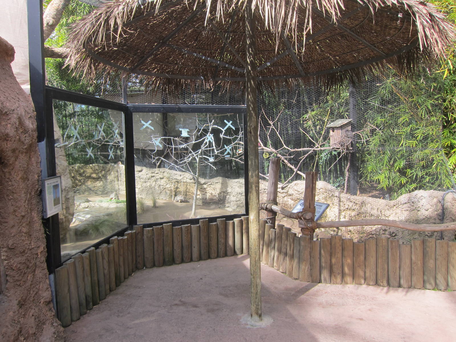 Radiated Tortoise Exhibit