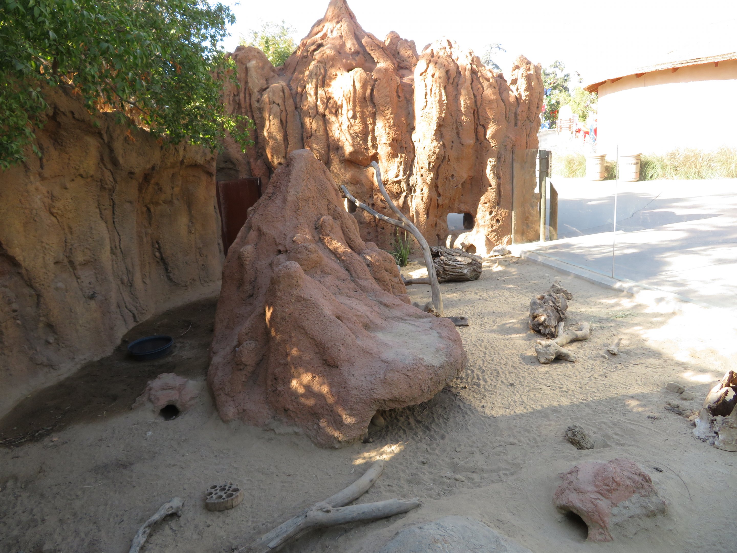 Radiated Tortoise/Meerkat Exhibit