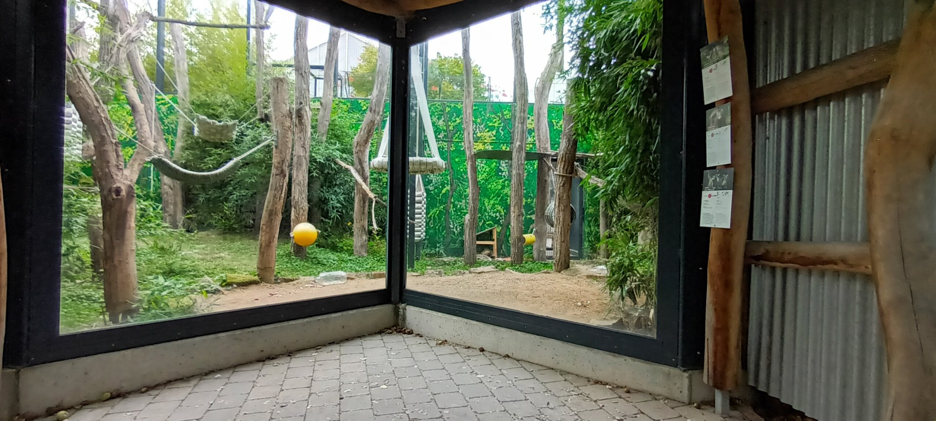 Radiated Tortoise, Ring tailed and Crowned Lemur outdoor Enclosure