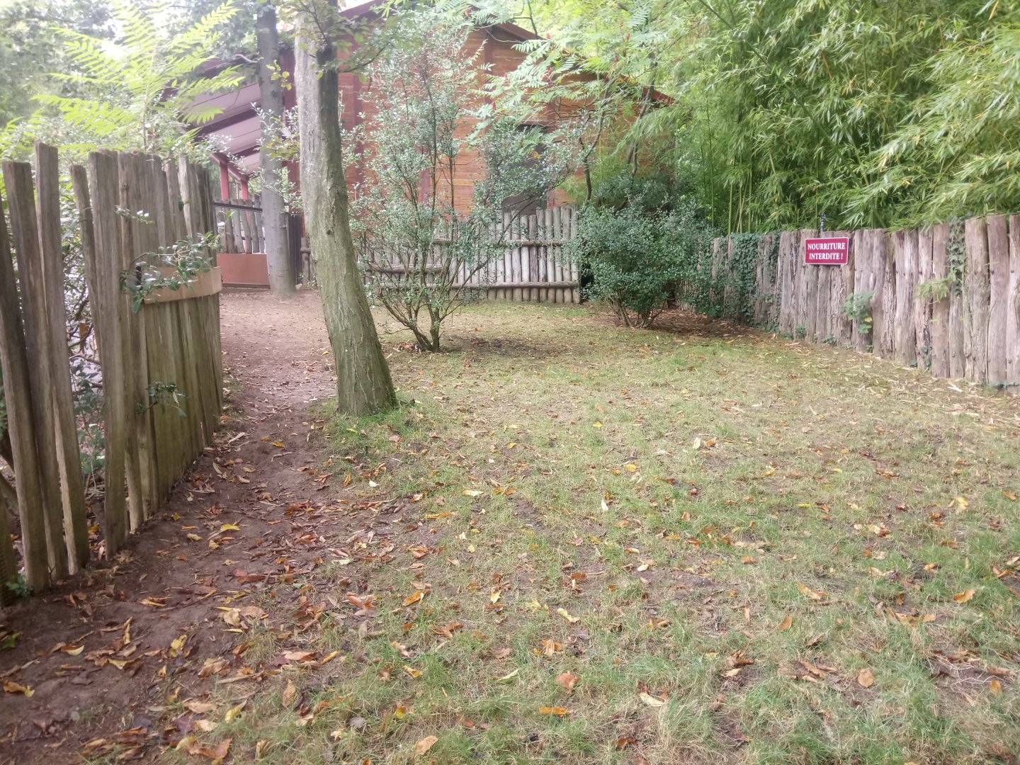 Radiated Tortoises Exhibit