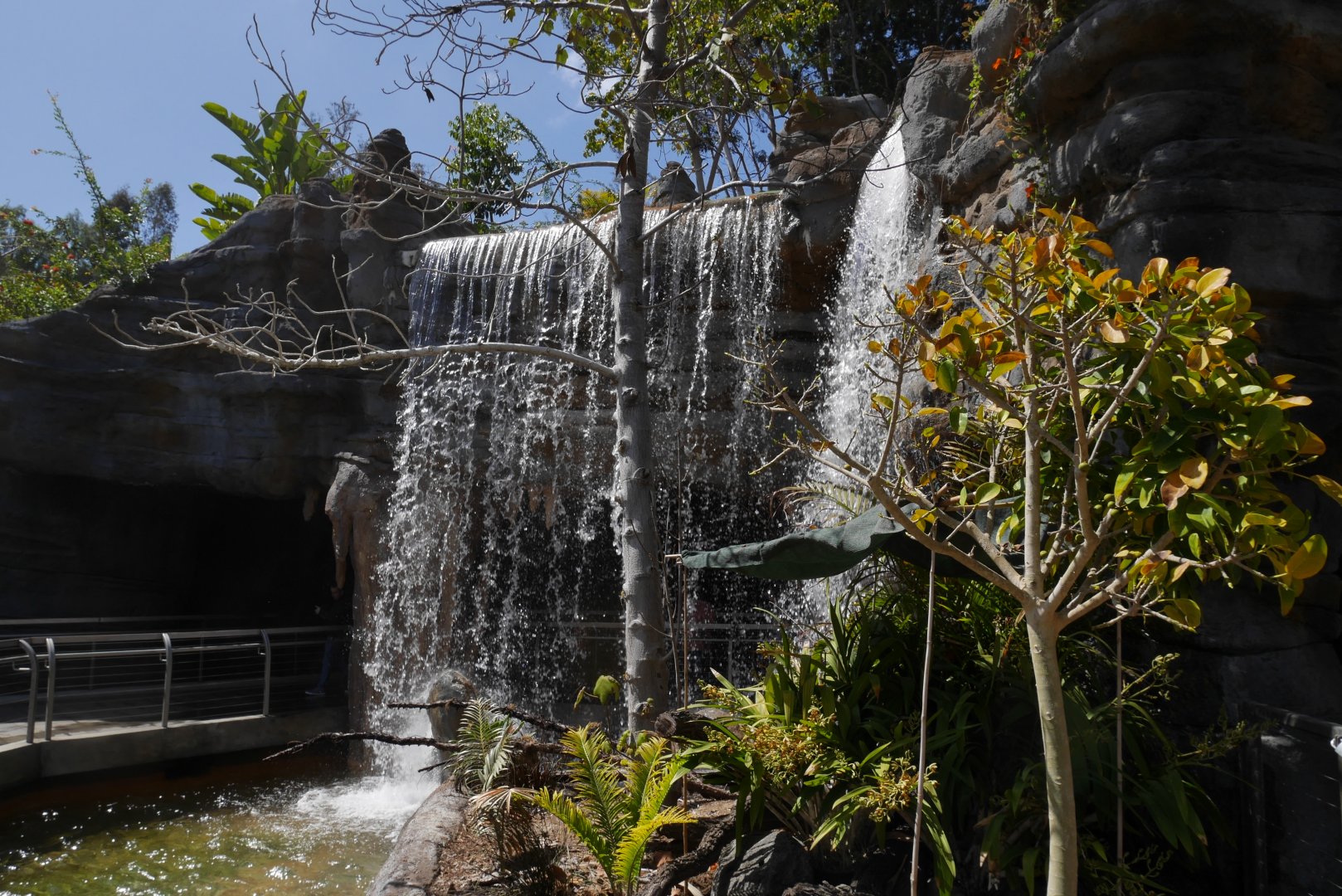 Rady Falls, Africa Rocks - My First US Zoo Trip