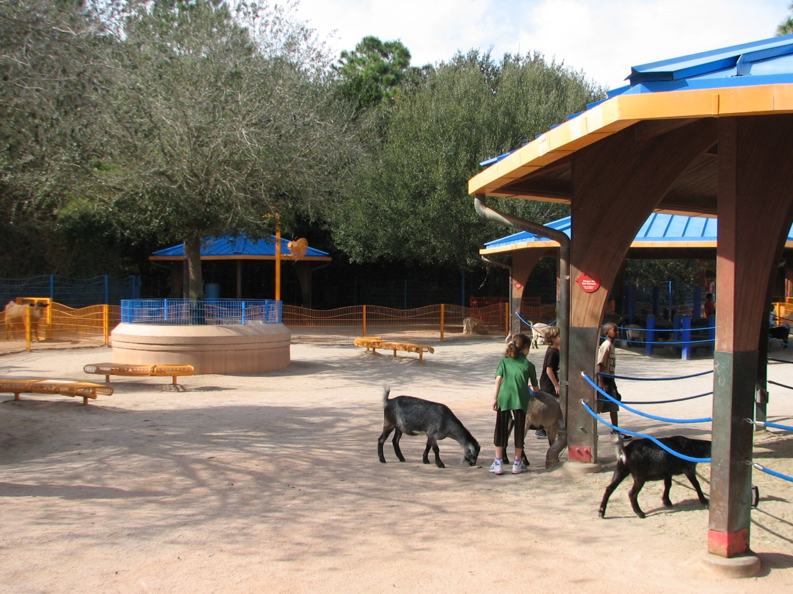 Rafikis Planet Watch - Affection Section