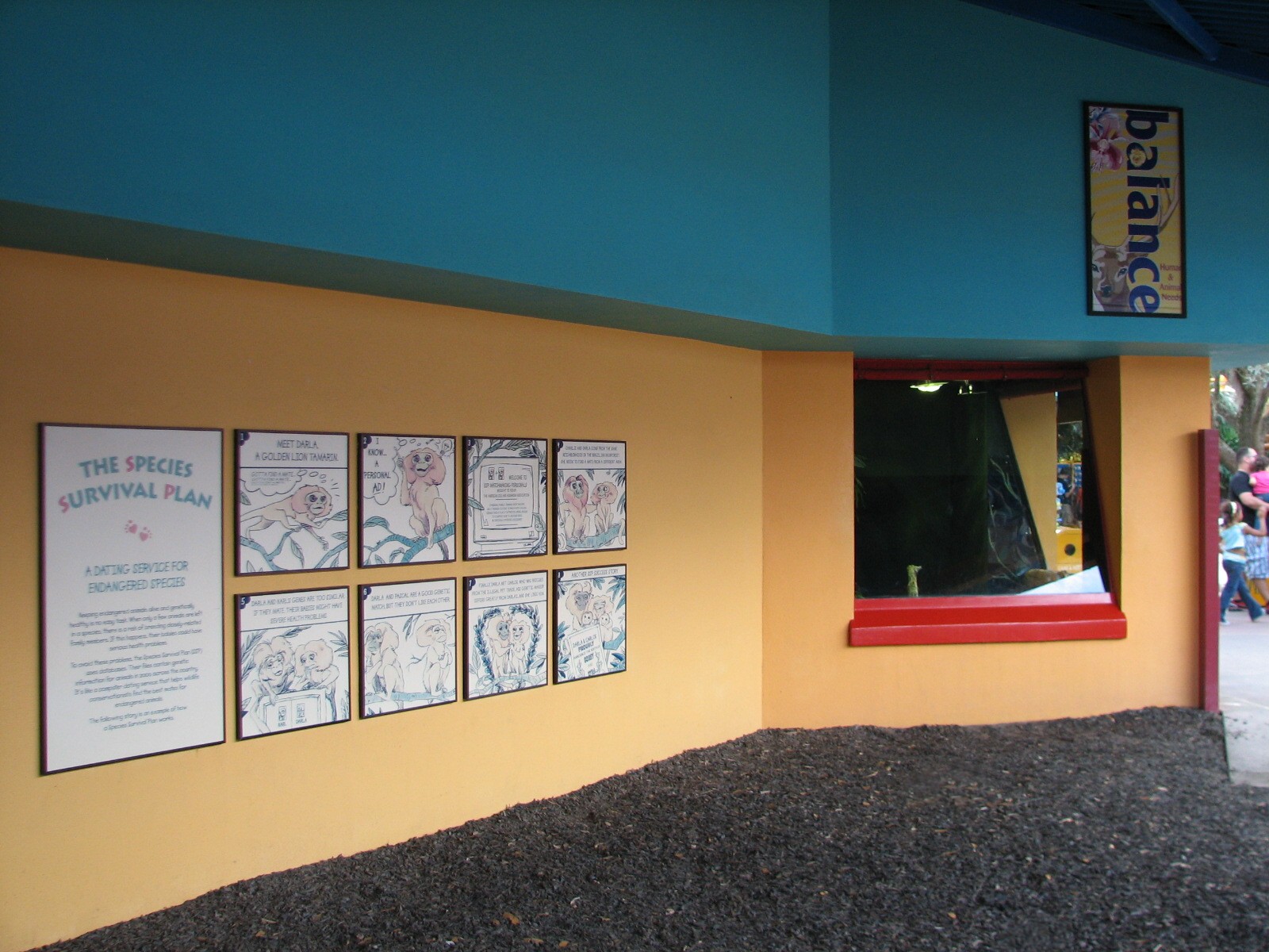 Rafikis Planet Watch - Conservation Station - Asian Water Monitor Exhibit