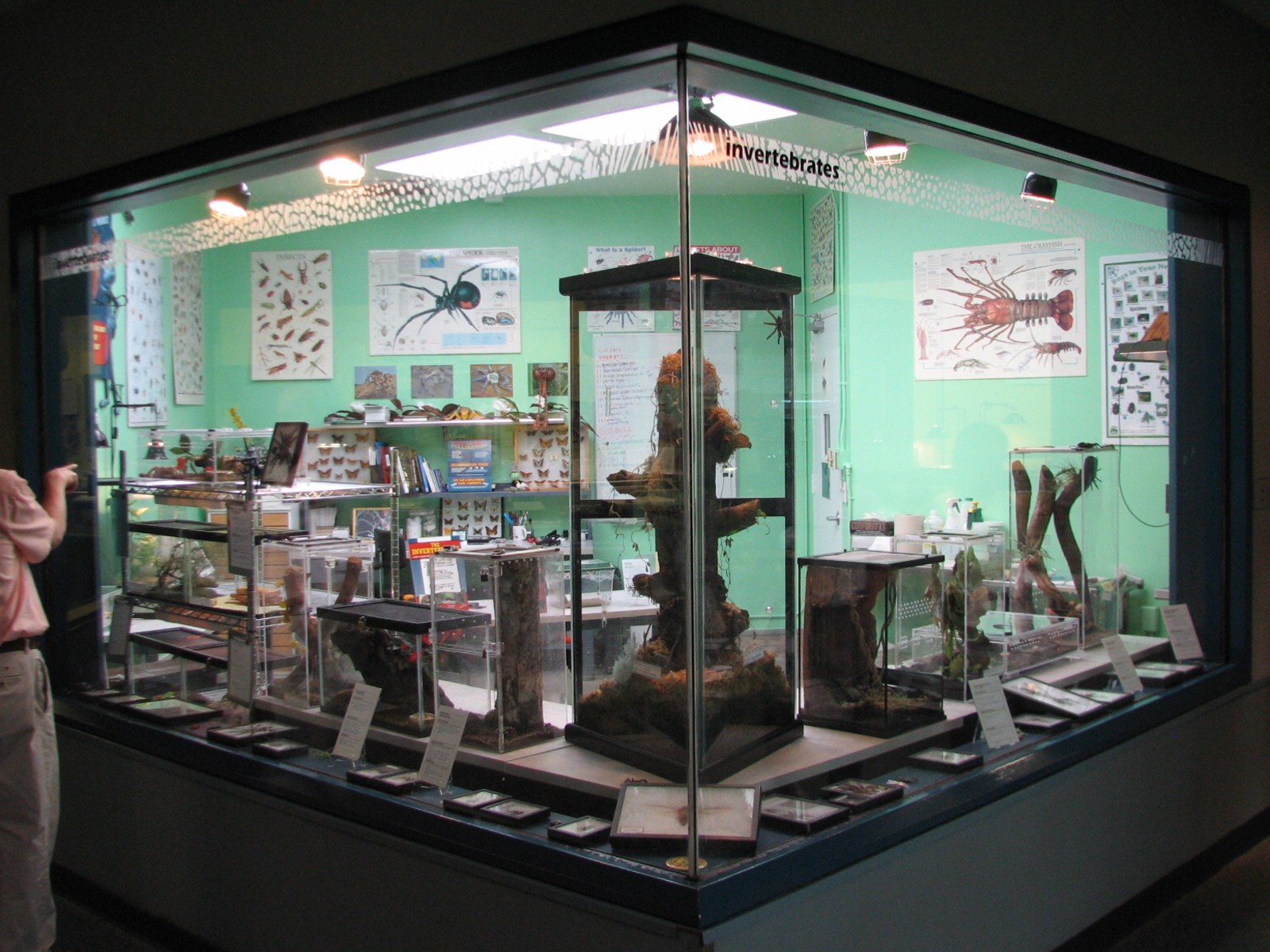 Rafikis Planet Watch - Conservation Station - Invertebrate Room