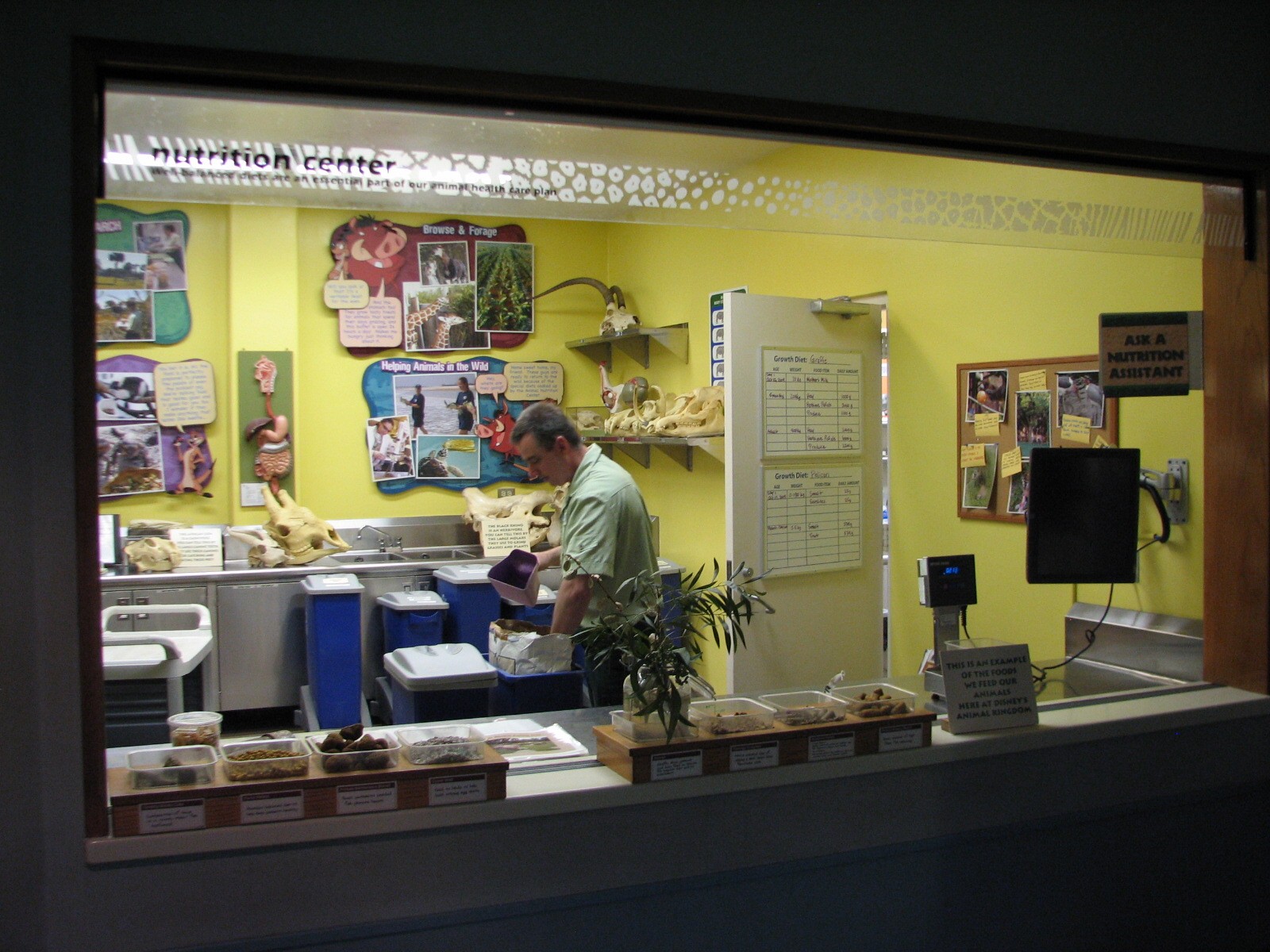 Rafikis Planet Watch - Conservation Station - Nutrition Center