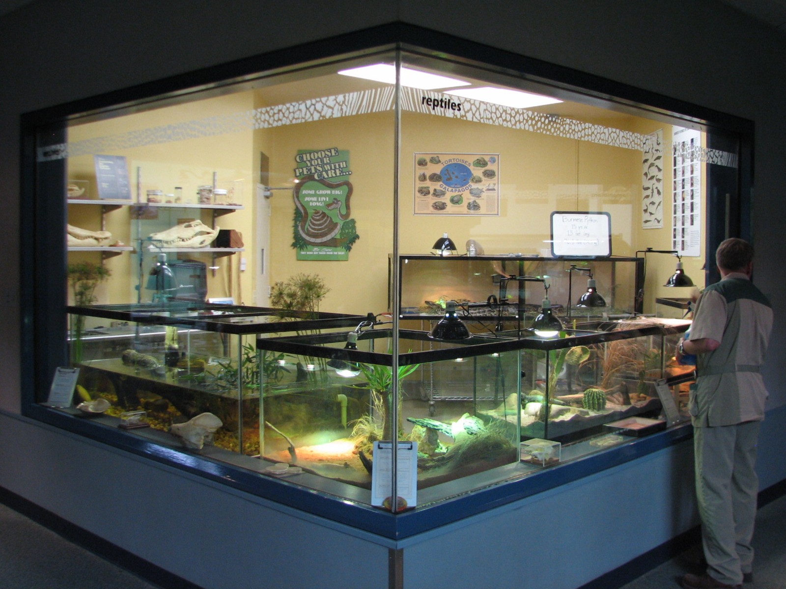Rafikis Planet Watch - Conservation Station - Reptile Room