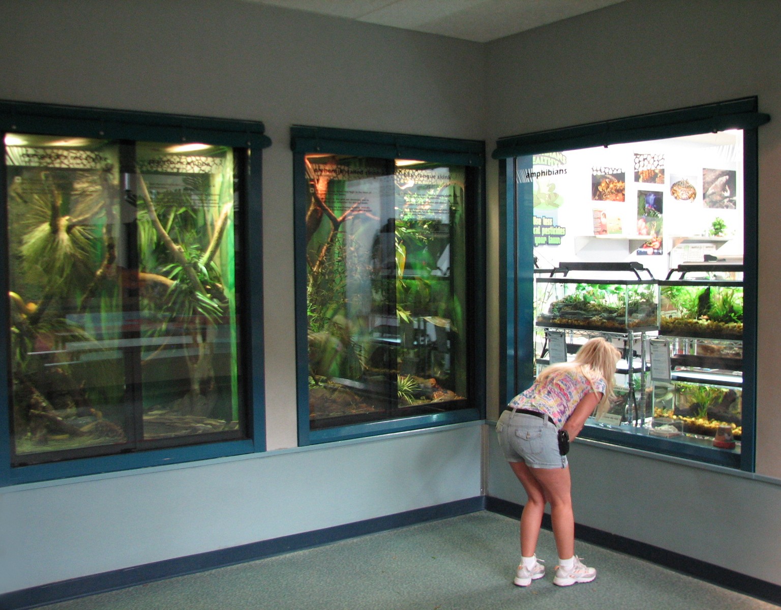Rafikis Planet Watch - Conservation Station - Reptile Terrariums and Amphib